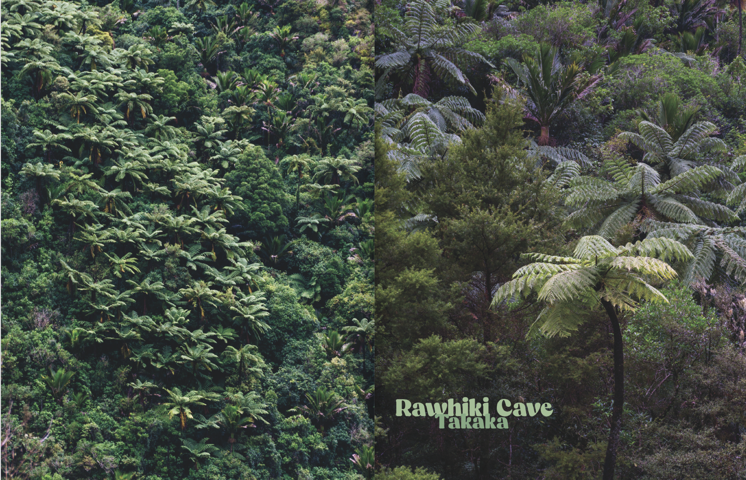 Screenshot 2024-12-06 at 11.32.27 AM.png