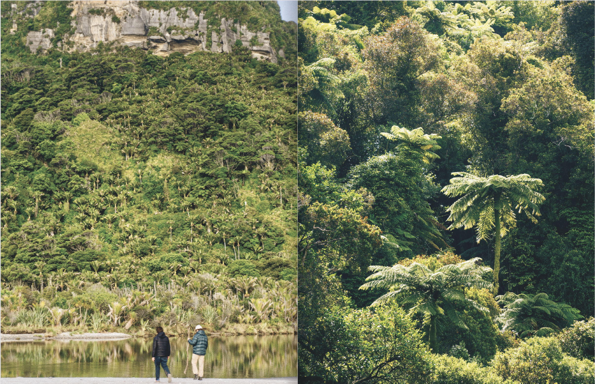 Screenshot 2024-12-06 at 11.31.52 AM.png