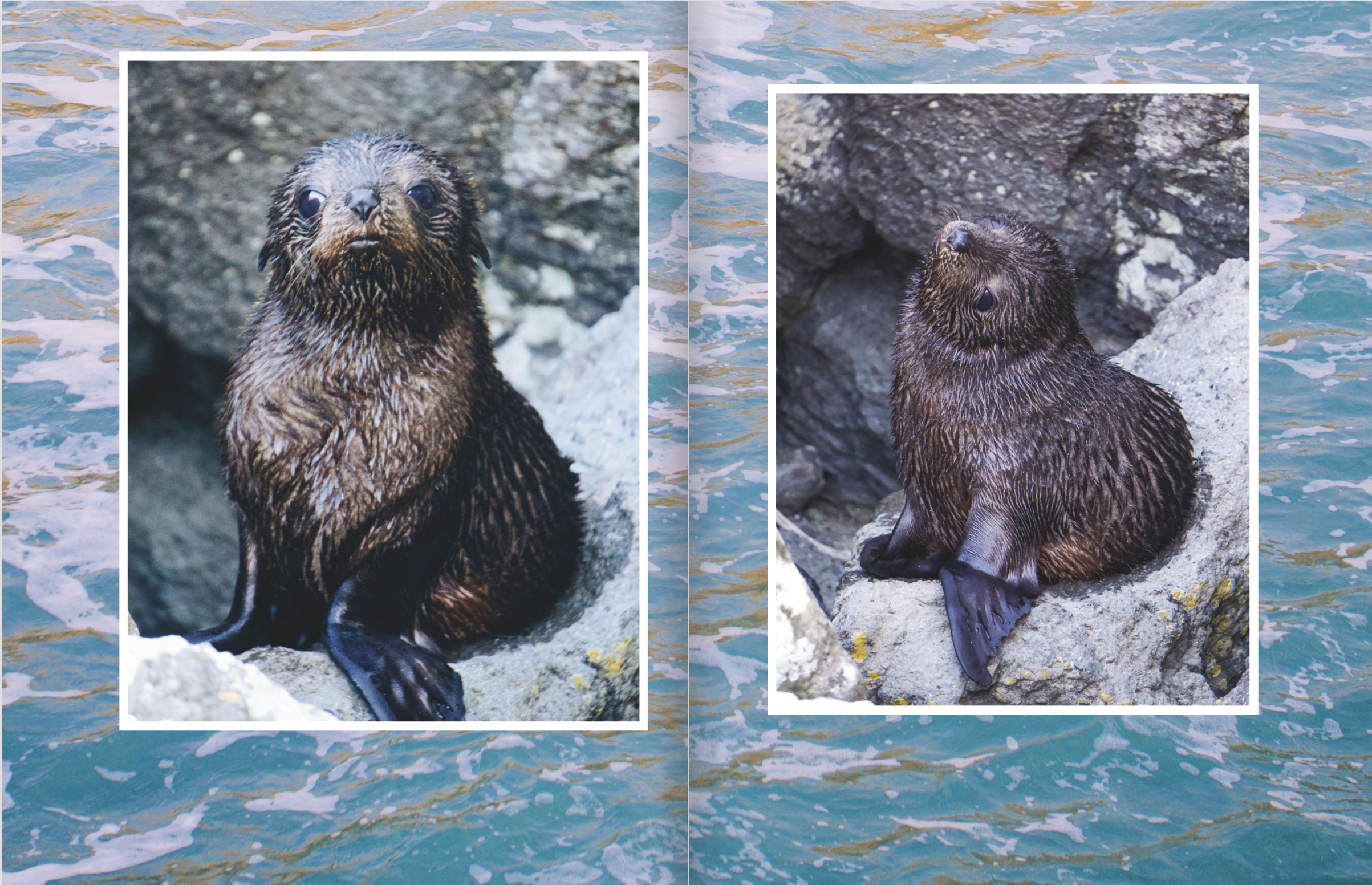 Screenshot 2024-12-06 at 11.30.39 AM.png