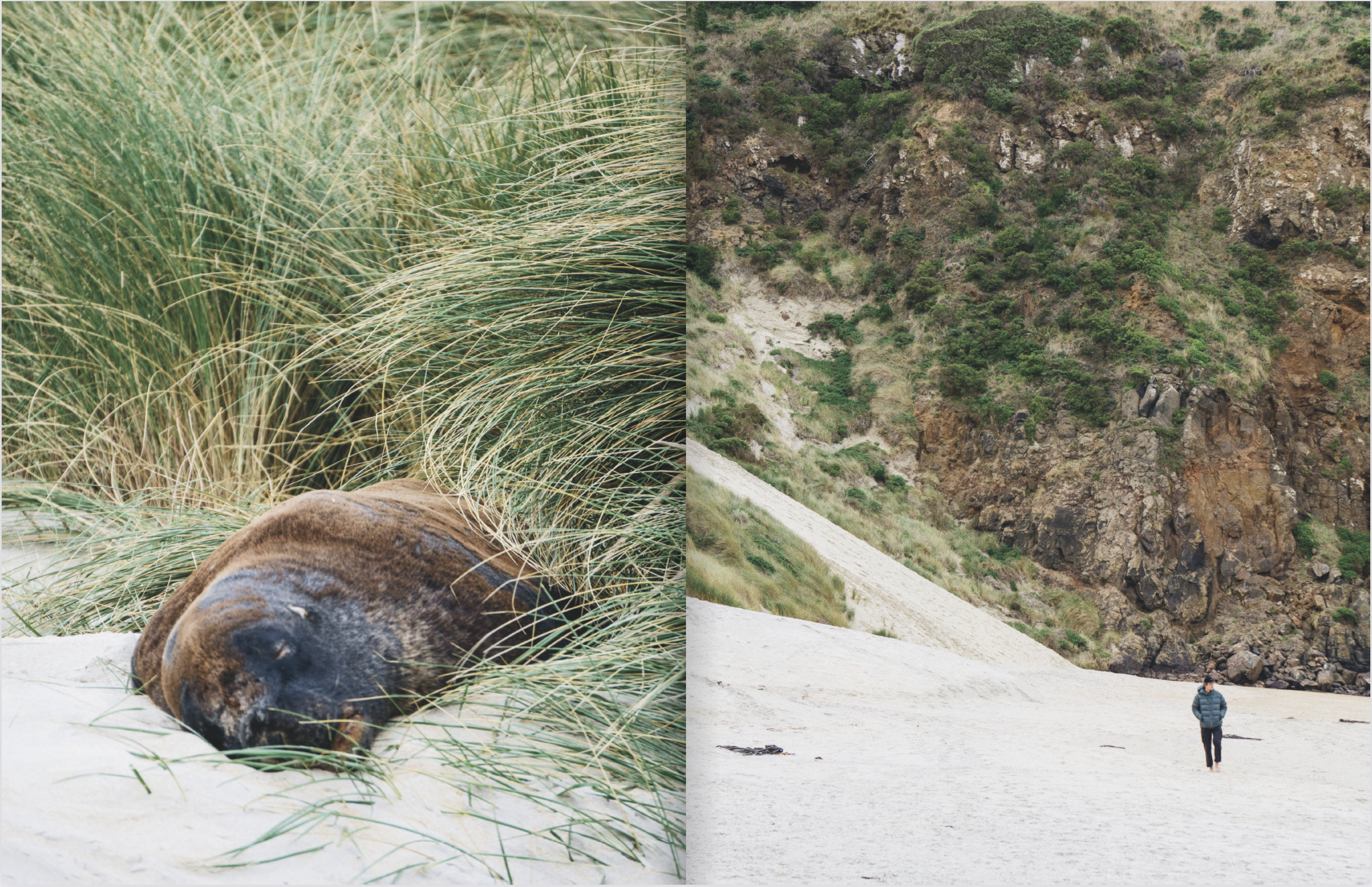 Screenshot 2024-12-06 at 11.34.46 AM.png