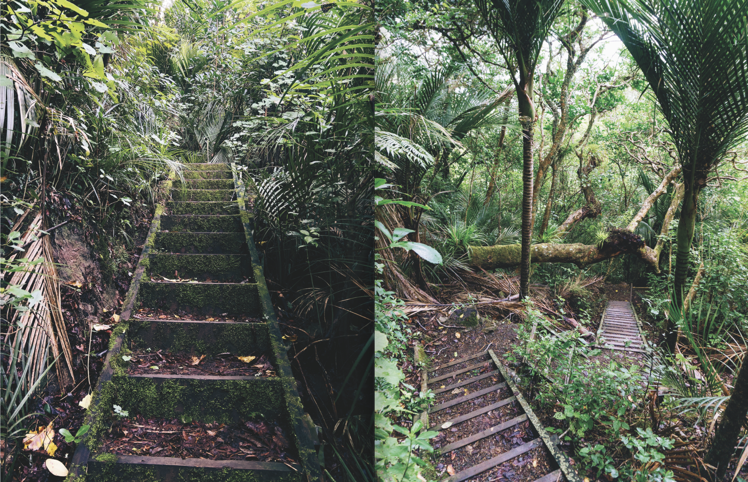 Screenshot 2024-12-06 at 11.36.45 AM.png