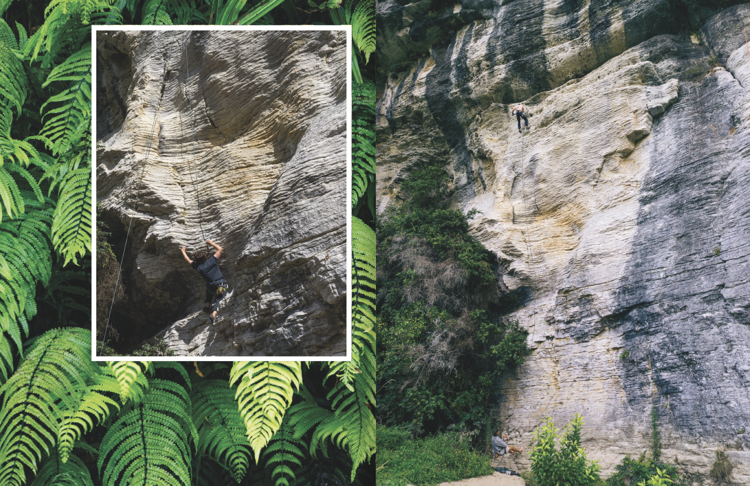 Screenshot 2024-12-06 at 11.32.05 AM.png