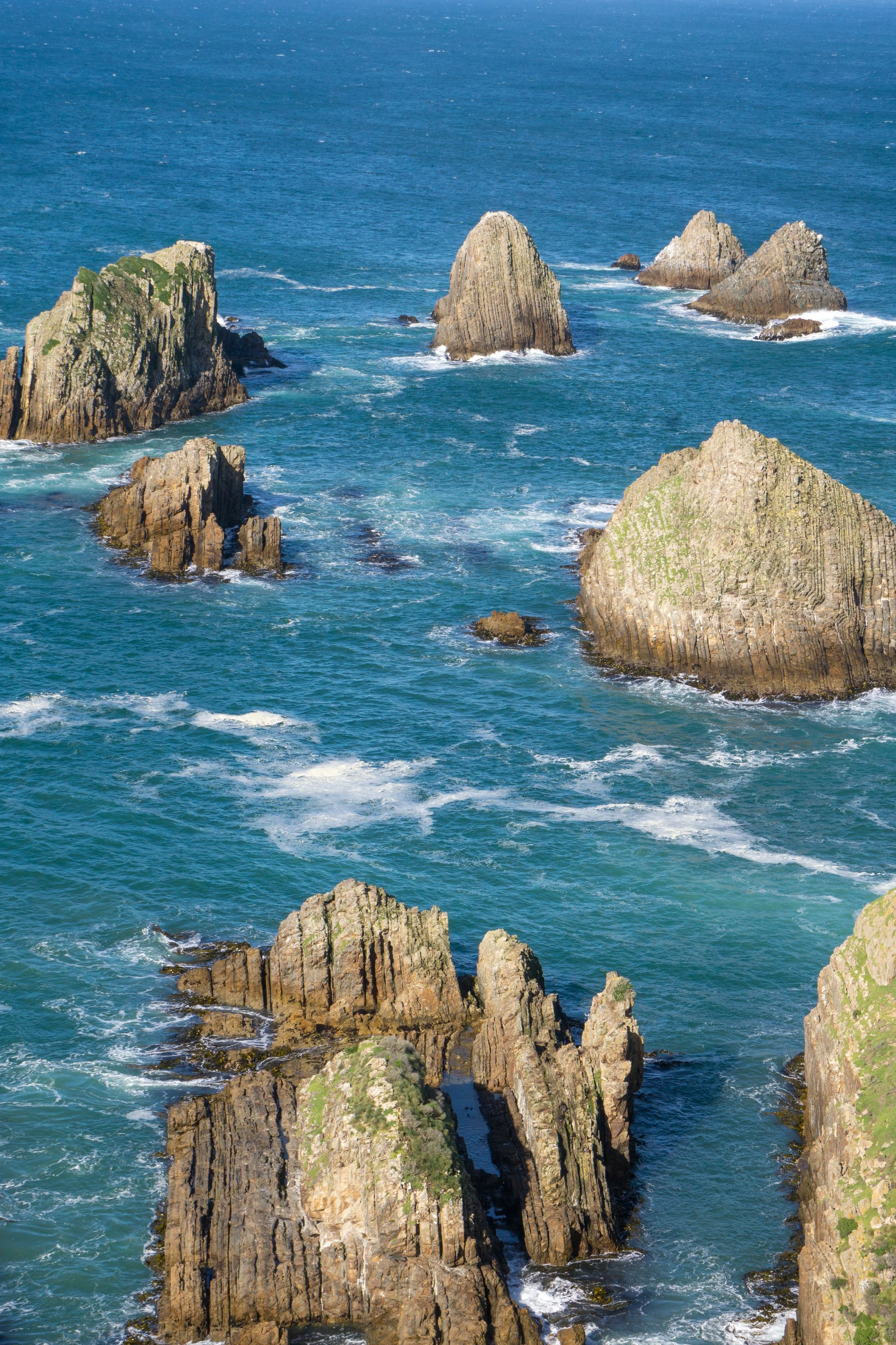 NZ2024-40 copy.jpg