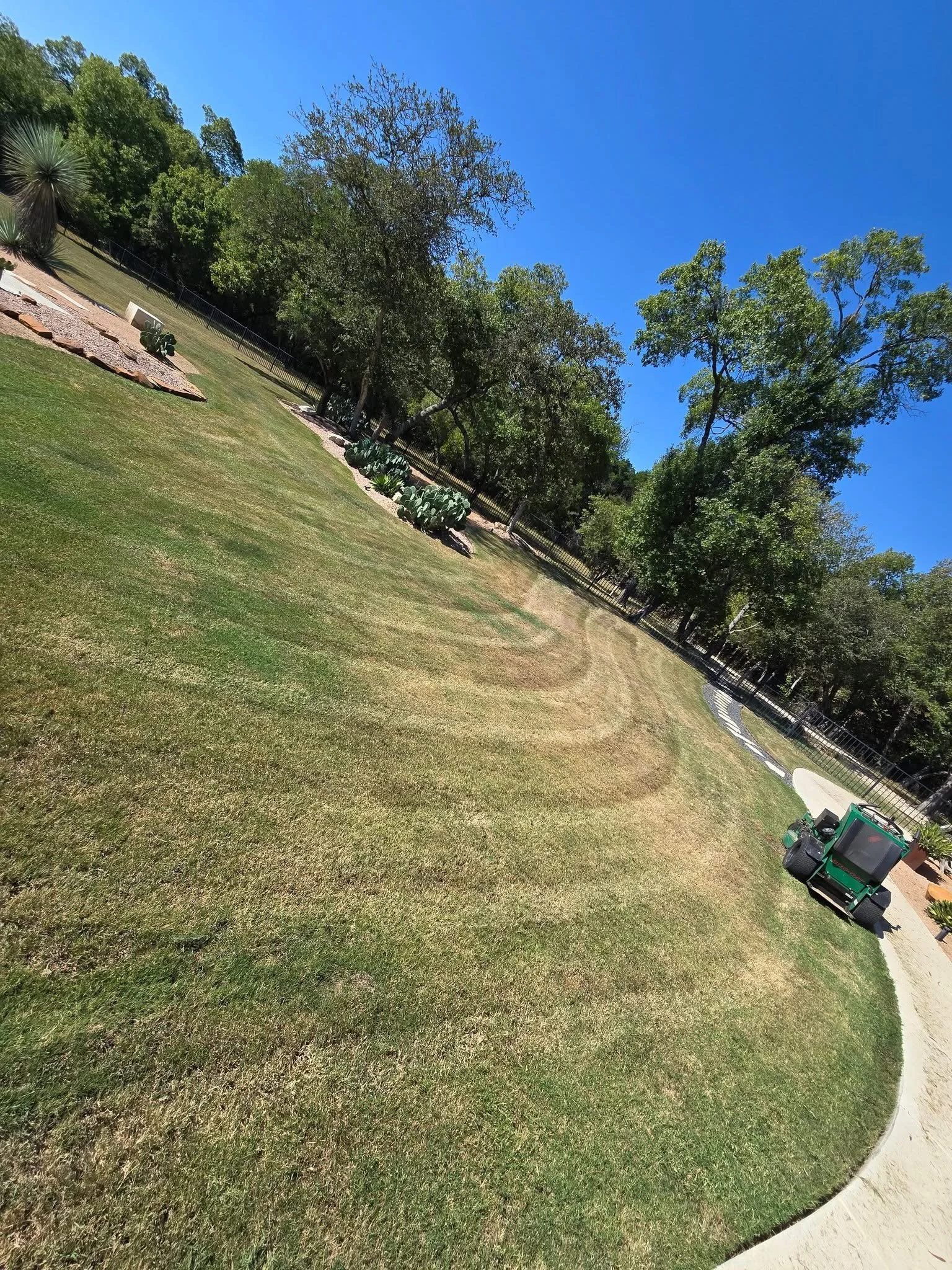 A landscaped backyard with a lawn, trees, cactus plants, a small paved pathway, and a green utility vehicle on a sunny day.