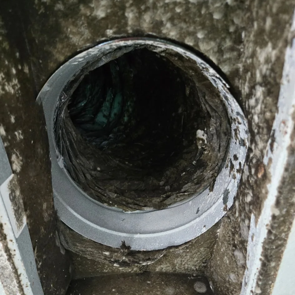 Inside a dirty, damaged duct or pipe surrounded by concrete or brick.