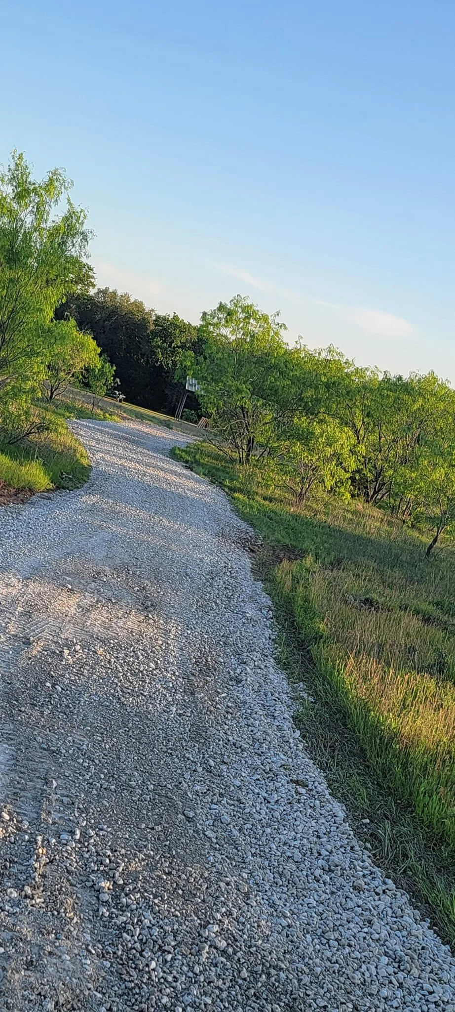 A gravel dirt path winding through a green, lightly wooded area under a clear blue sky.
