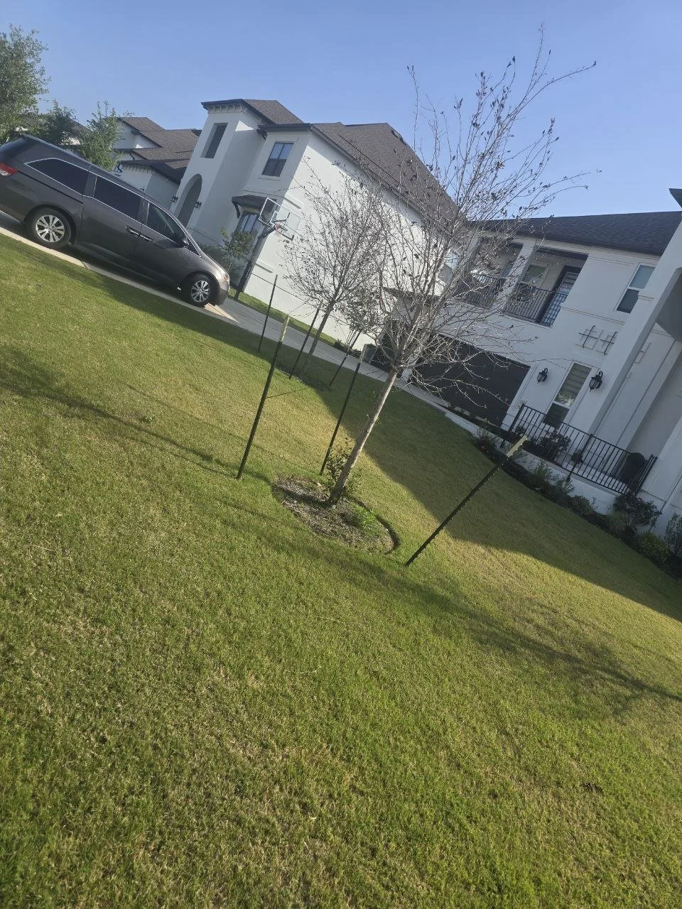 Residential complex with white buildings, a gray vehicle parked on the driveway, and small leafless trees with stakes supporting them on a well-kept green lawn.