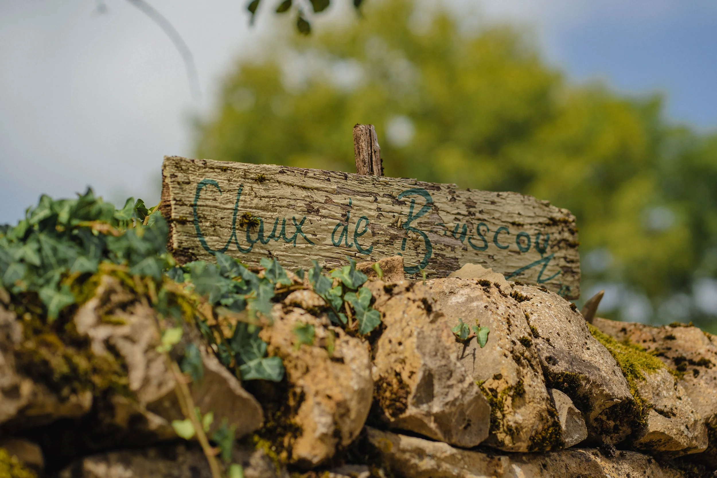 The Wedding of Grace and Dave (4 of 426).jpg