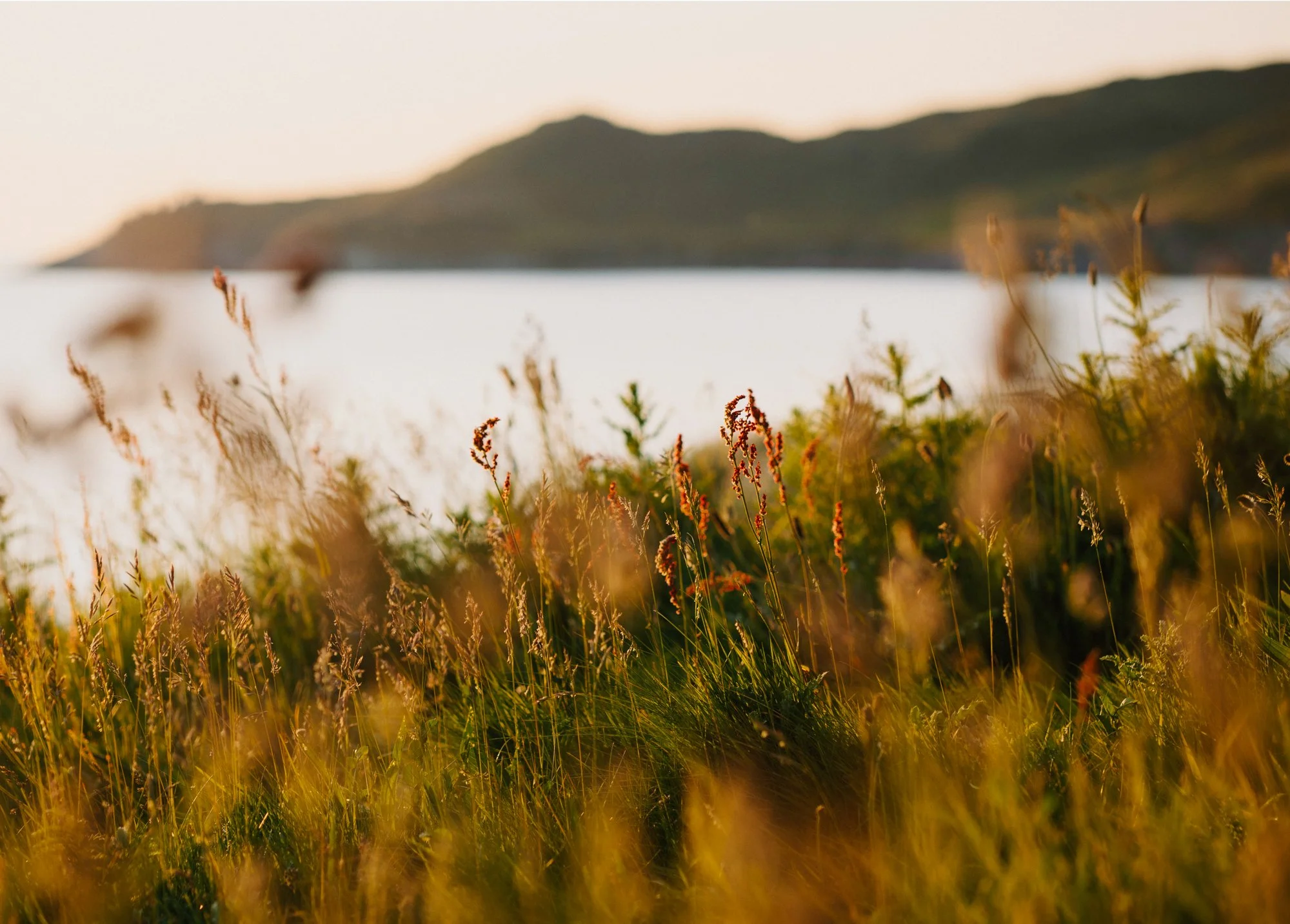 Ryan Watts Photography - Places - Woolacombe-.jpg