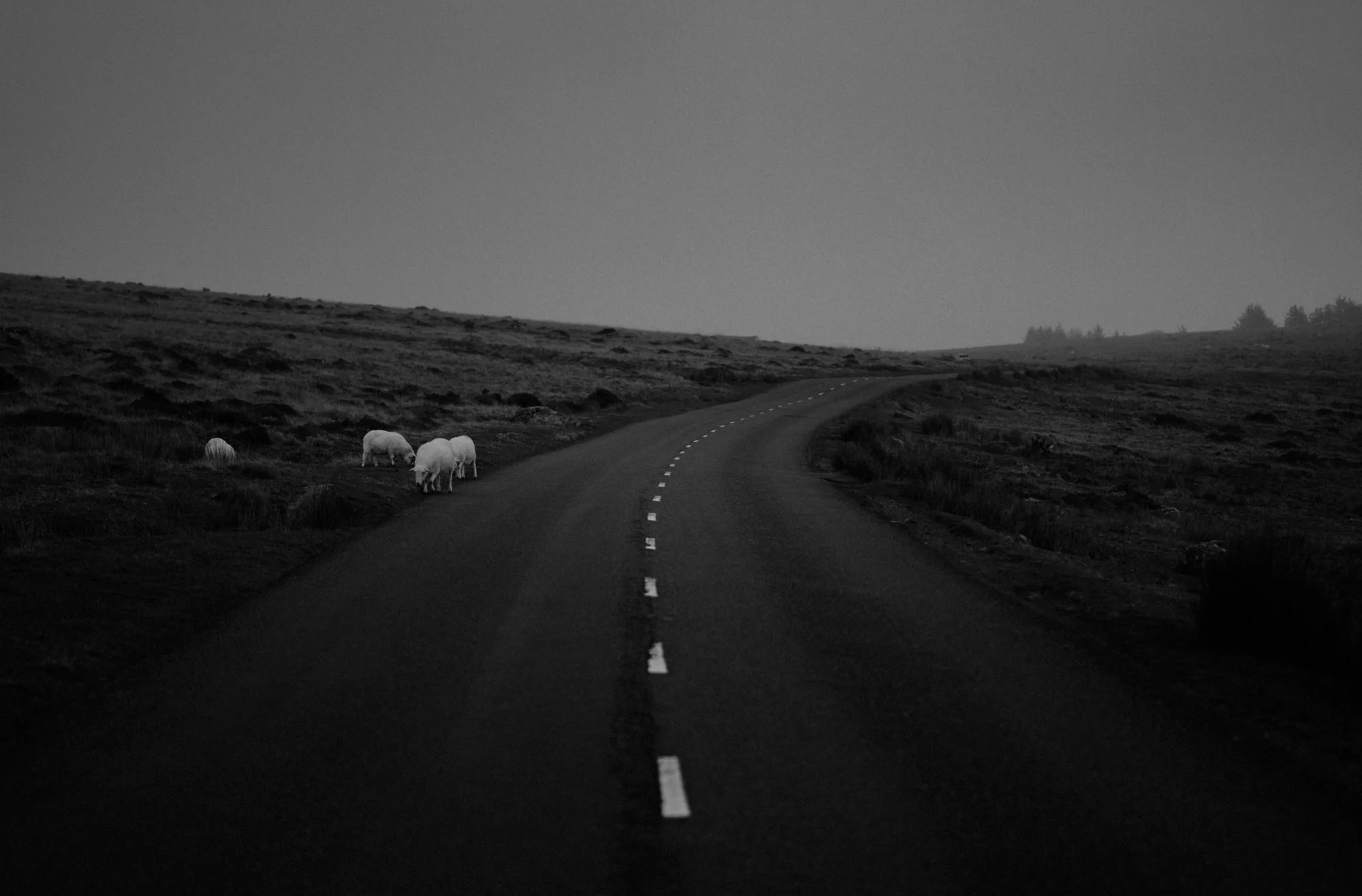 Ryan Watts Photography - Places - Dartmoor-12.jpg