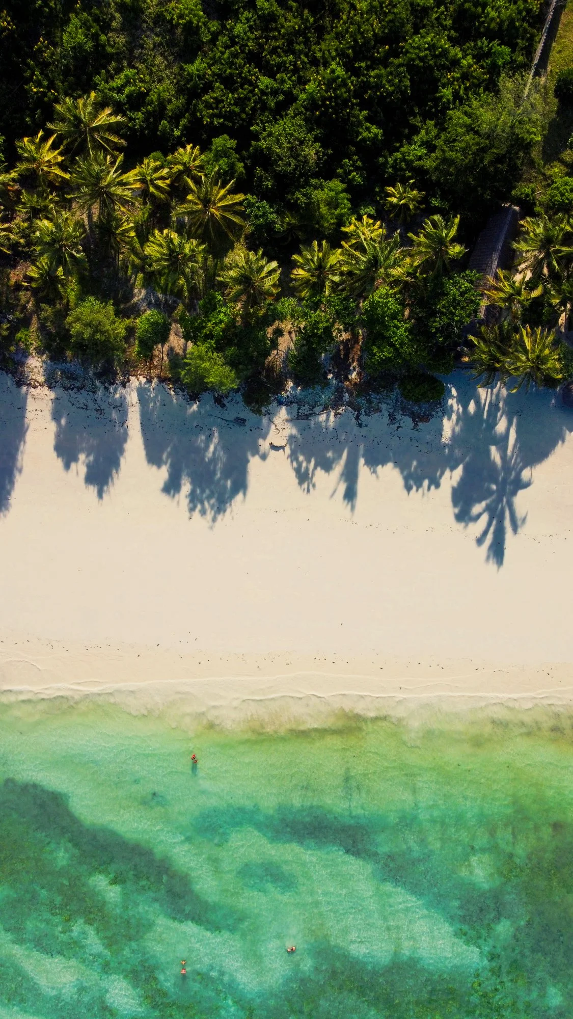 Ryan Watts Photography - Places - Zanzibar--3.jpg