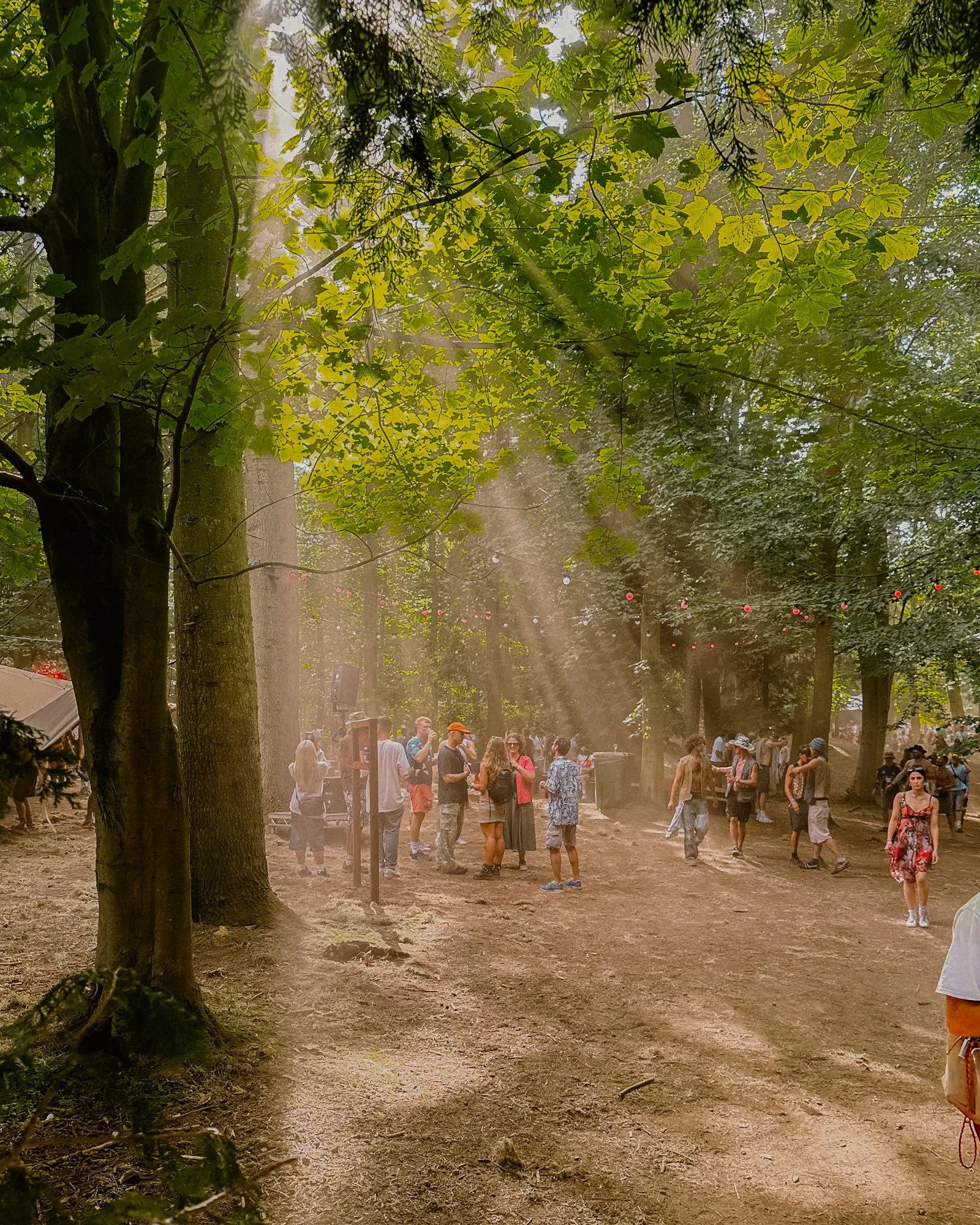 Ryan Watts Photography - Festival Photography - Houghton-7826.jpg