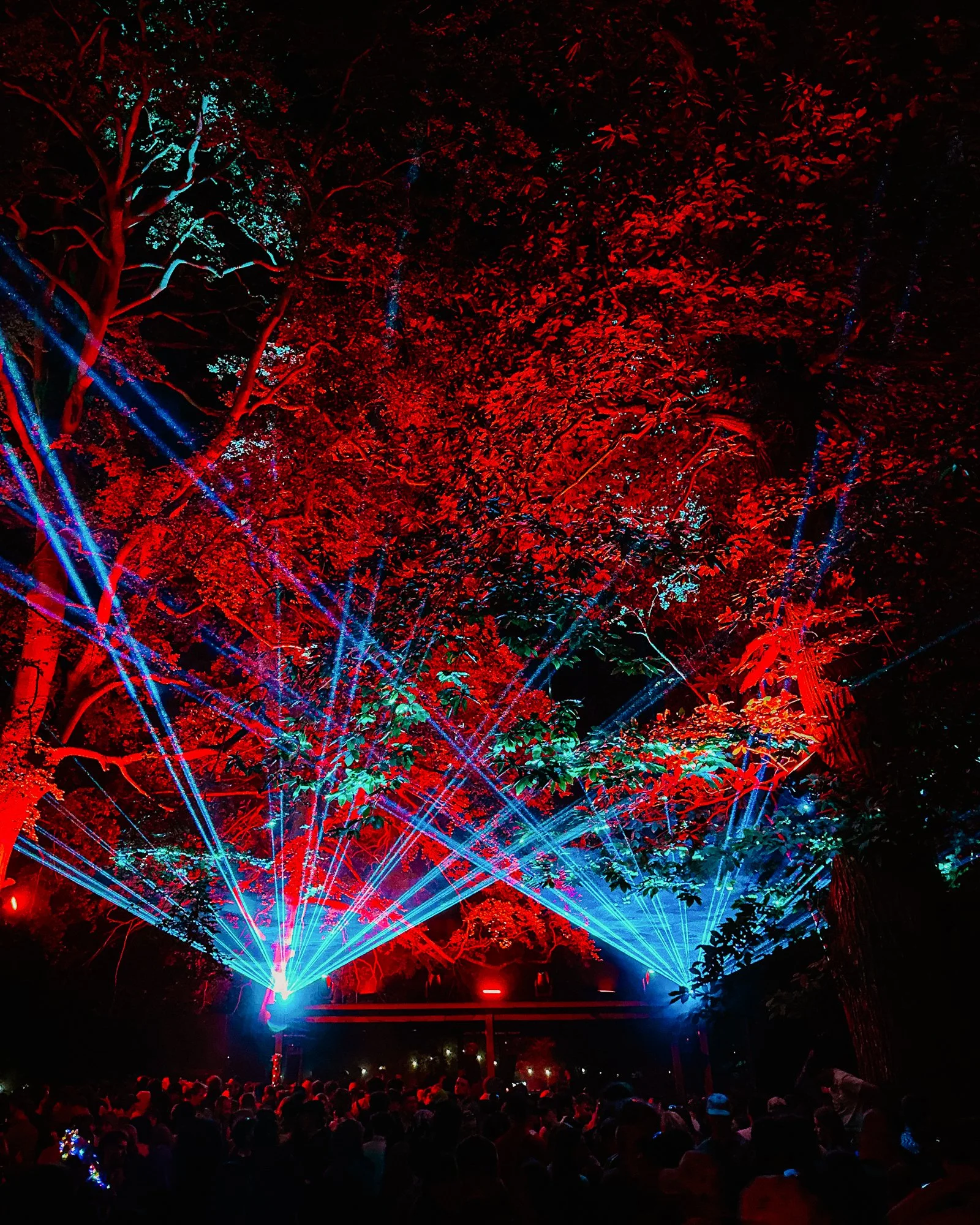 Ryan Watts Photography - Festival Photography - Houghton-7885.jpg