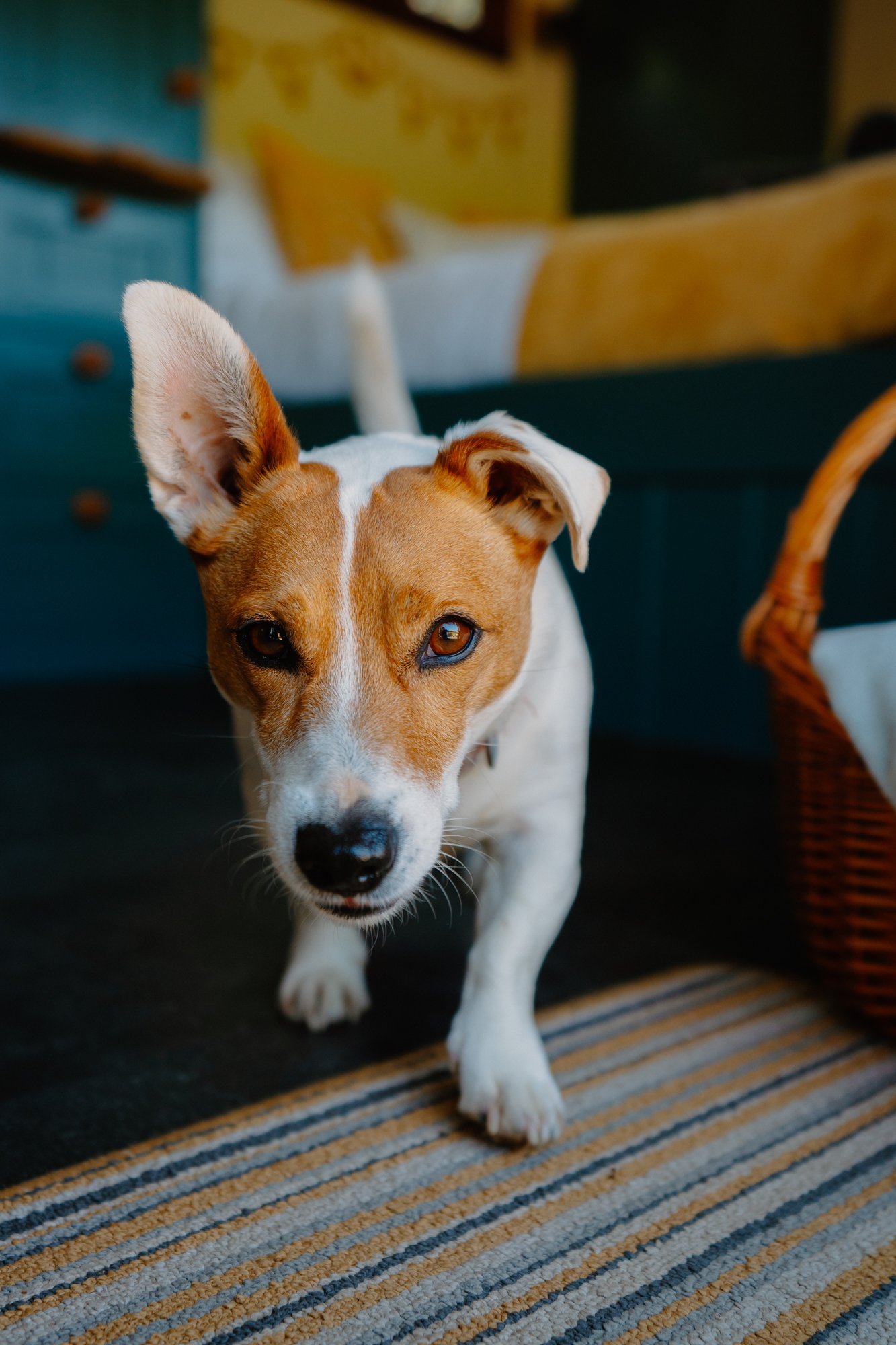 Ryan Watts Photography - Property - Holiday Cottage-09978.jpg