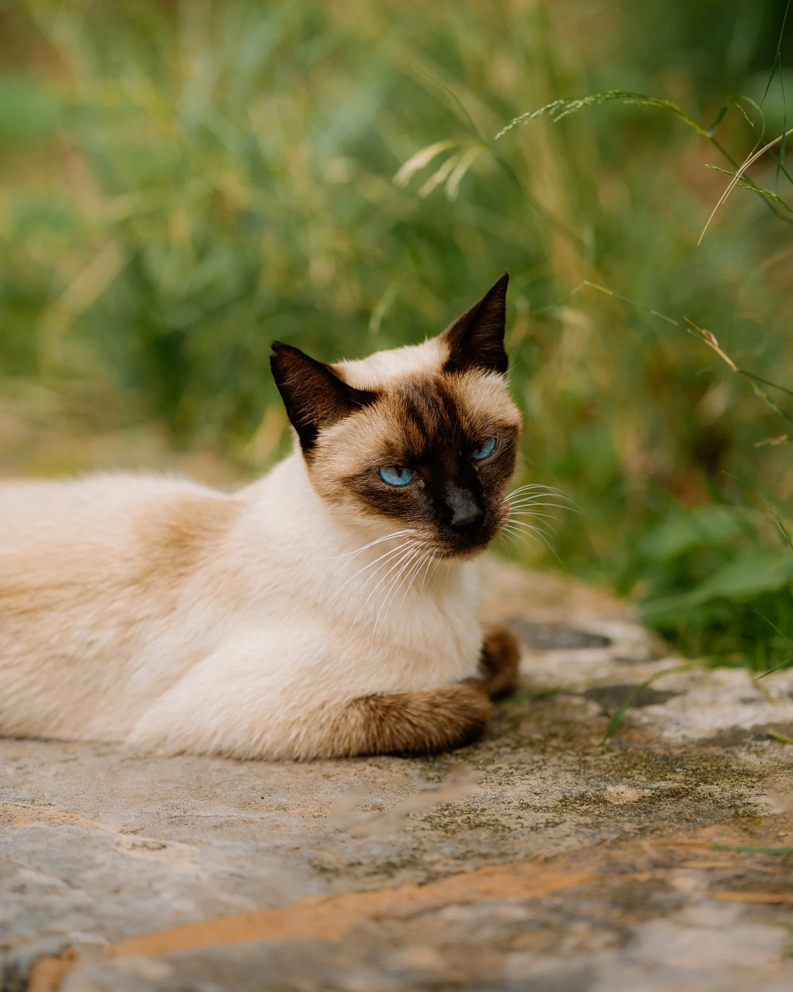 Ryan Watts Photography - Places - Mallorca-40.jpg