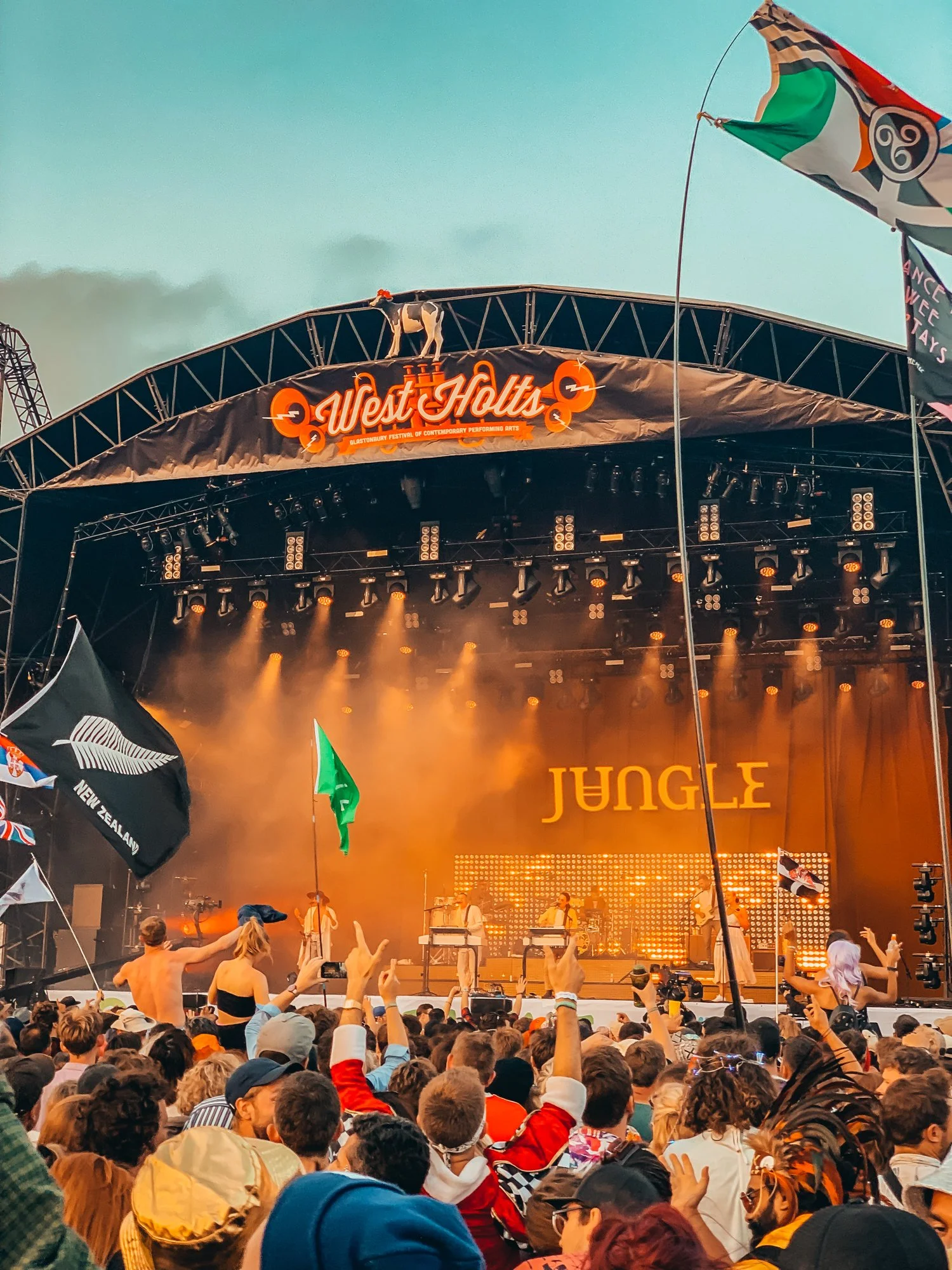 Ryan Watts Photography - Festival Photography - Glastonbury Jungle-9250.jpg