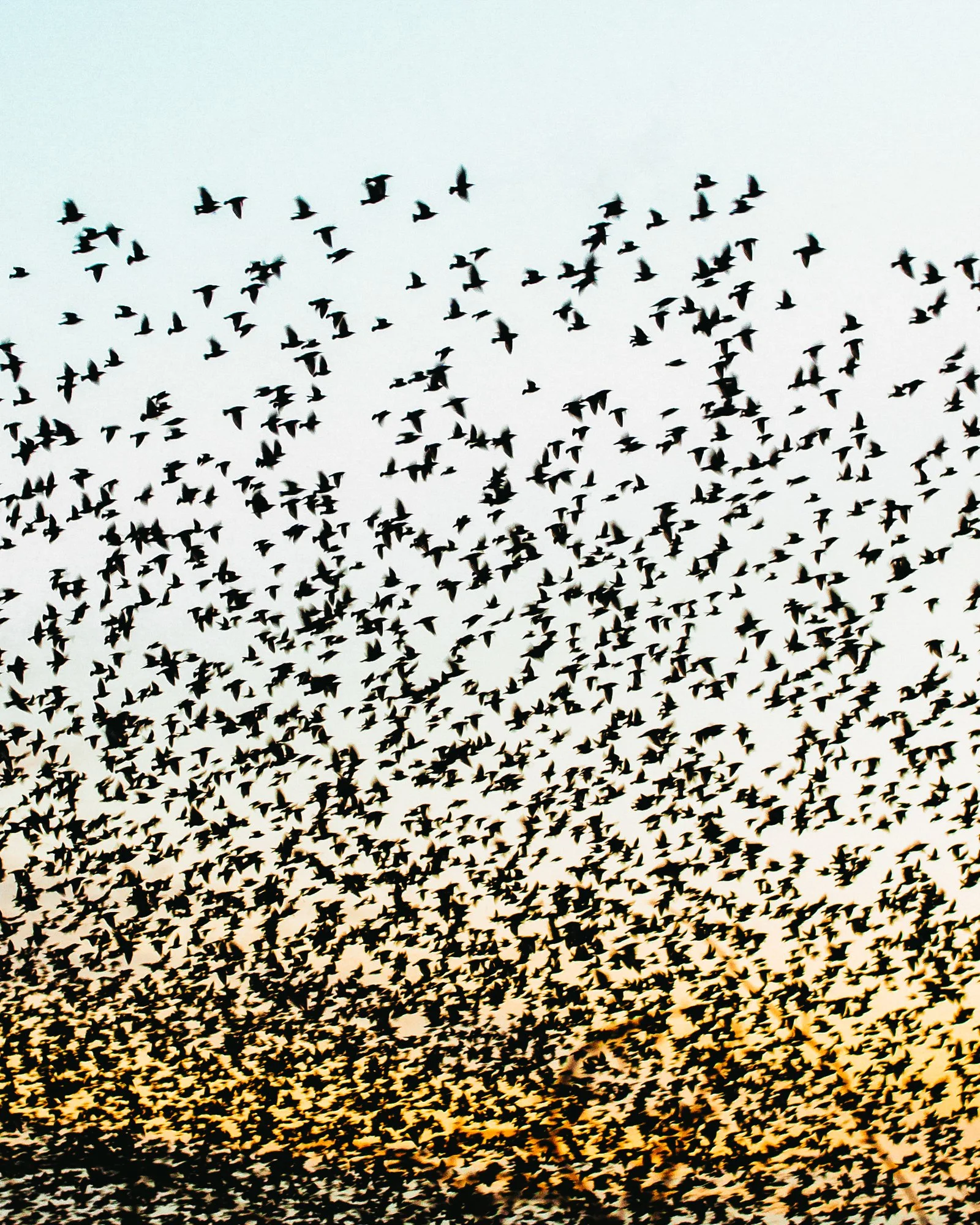 Ryan Watts Photography - Places - Cornwall-15.jpg