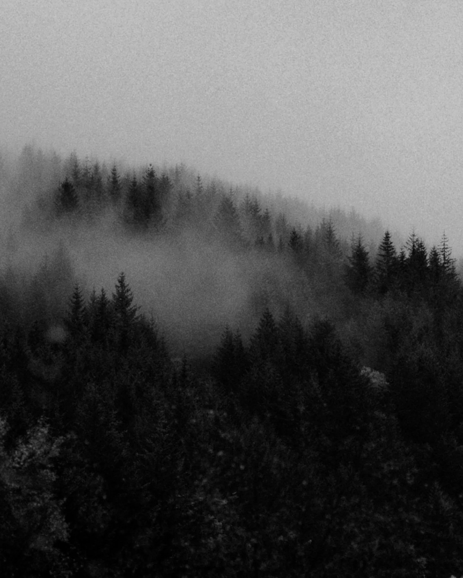 Ryan Watts Photography - Places - Scottish Highlands-4.jpg