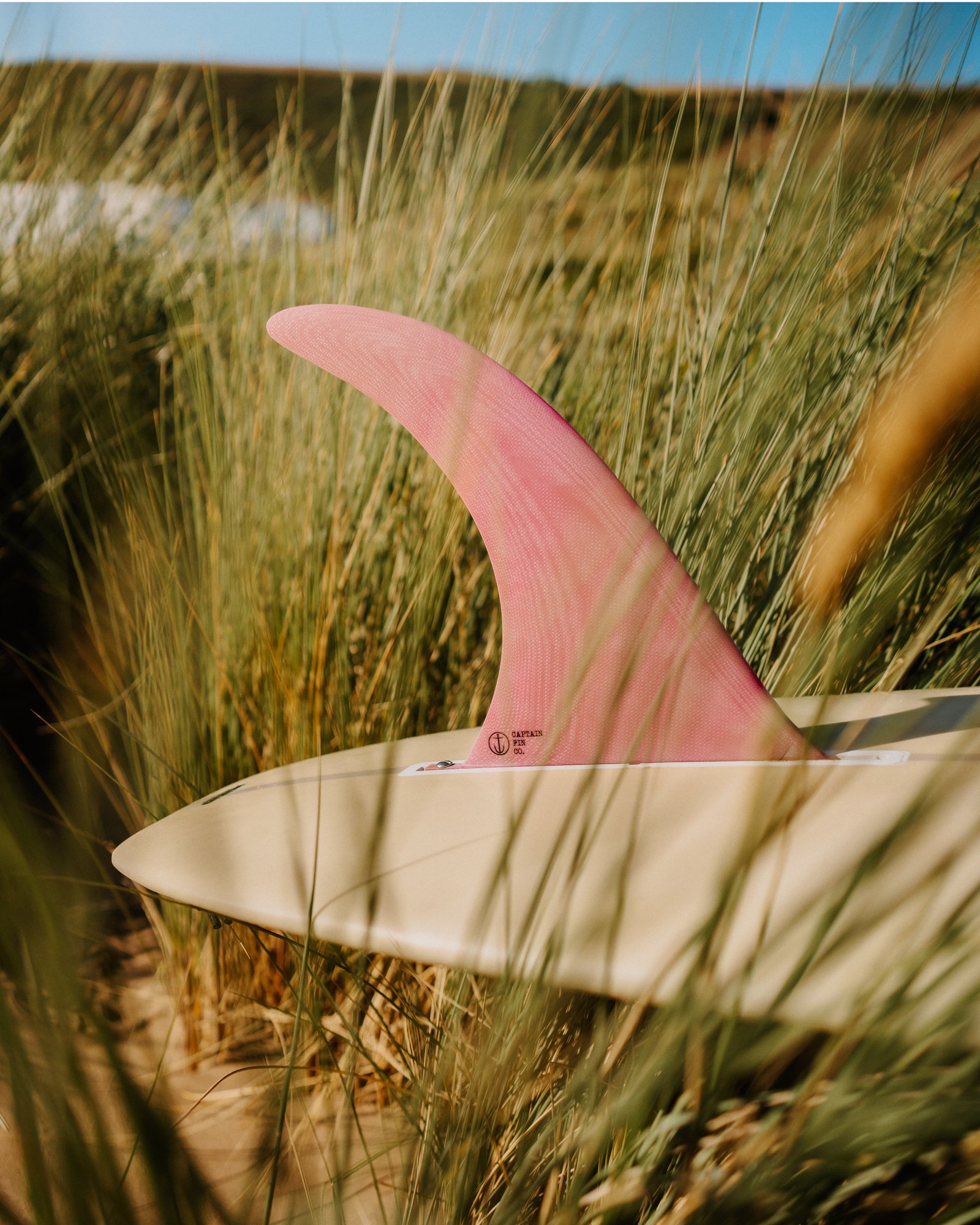 Ryan Watts Photography - Products - Captain Fin-2.jpg