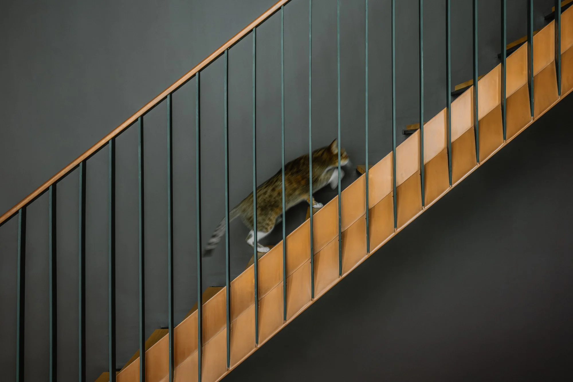 Ryan Watts Photography - Property - Devon New Build Sunhouses--5.jpg