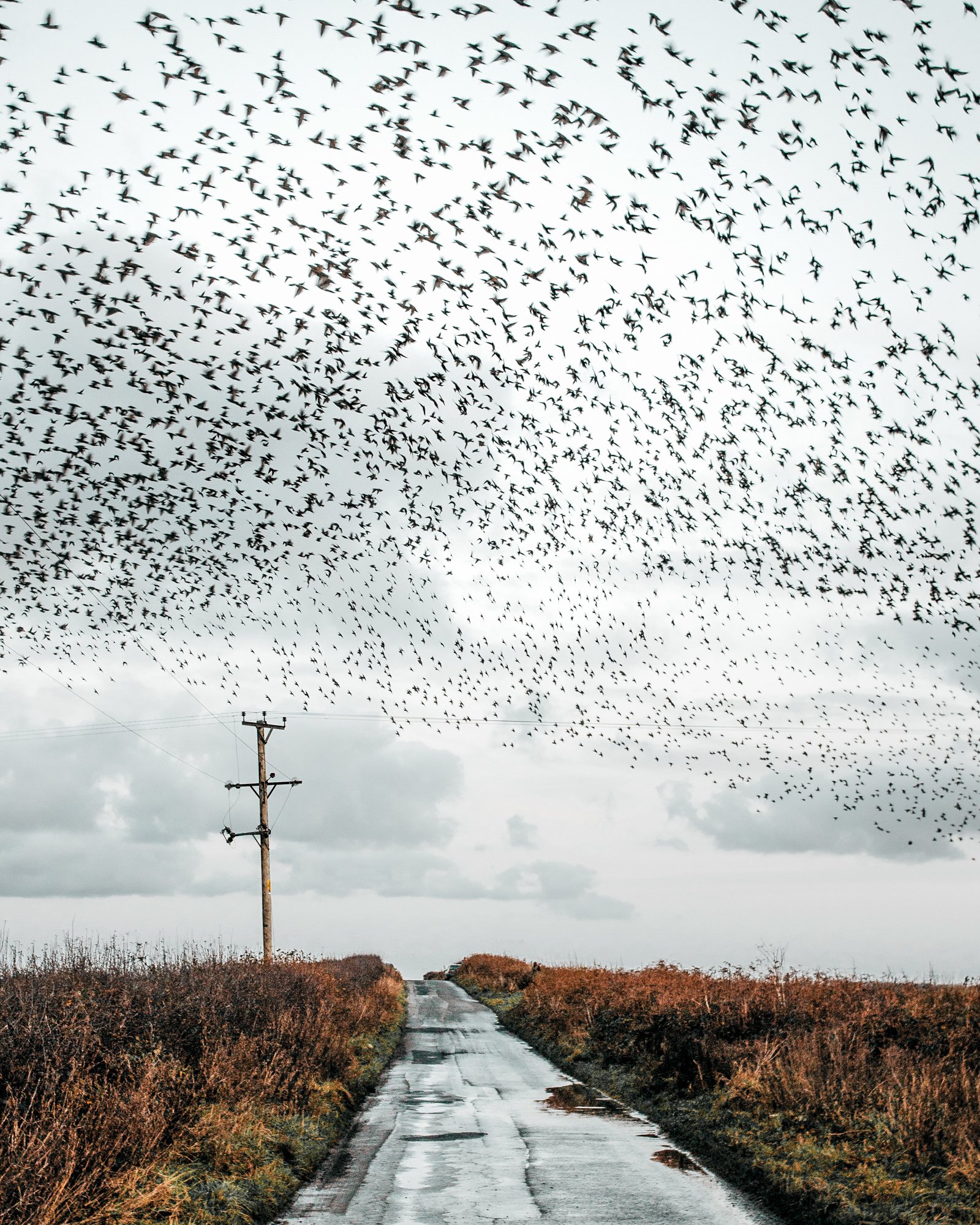 Ryan Watts Photography - Places - Cornwall-13.jpg