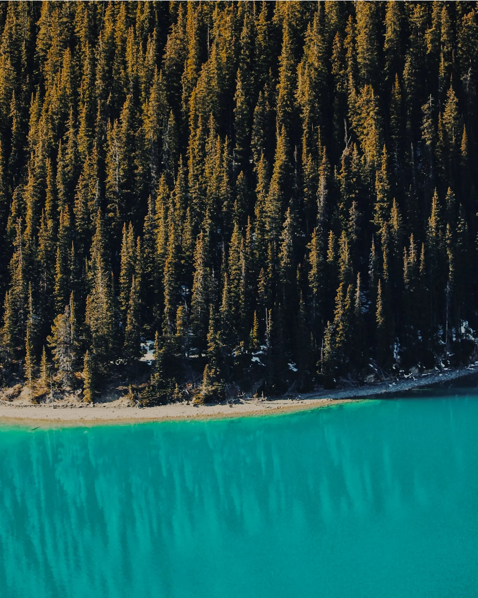 Ryan Watts Photography - Places - Banff-.jpg