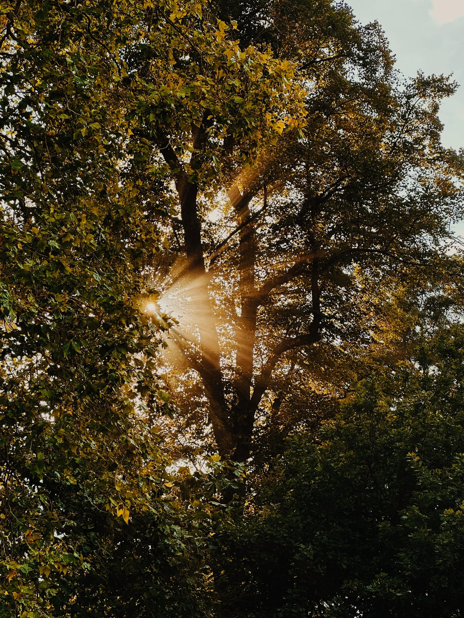 Ryan Watts Photography - Festival Photography - Waterworks-198286059.jpg