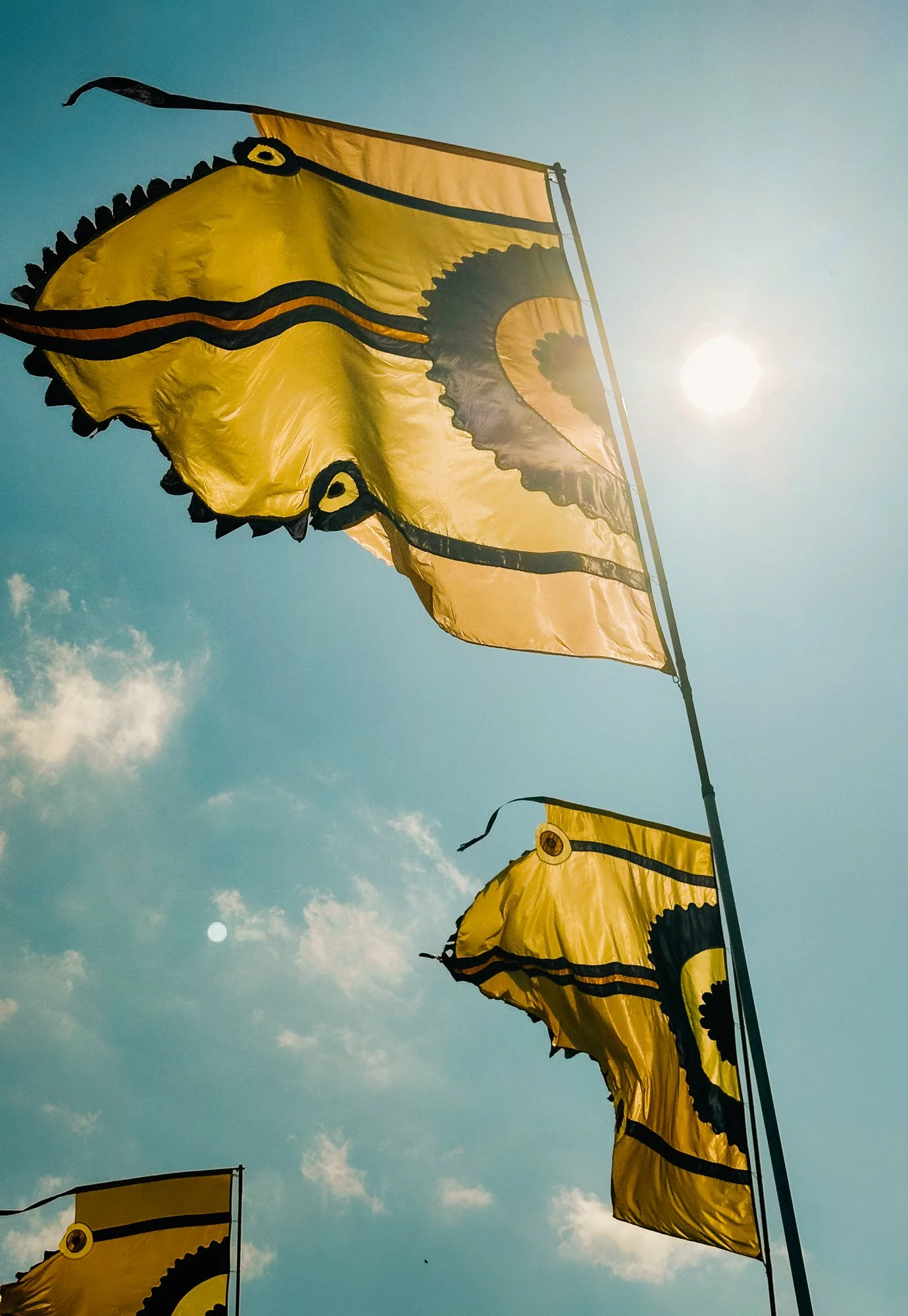 Ryan Watts Photography - Festival Photography - Glastonbury-6066.jpg