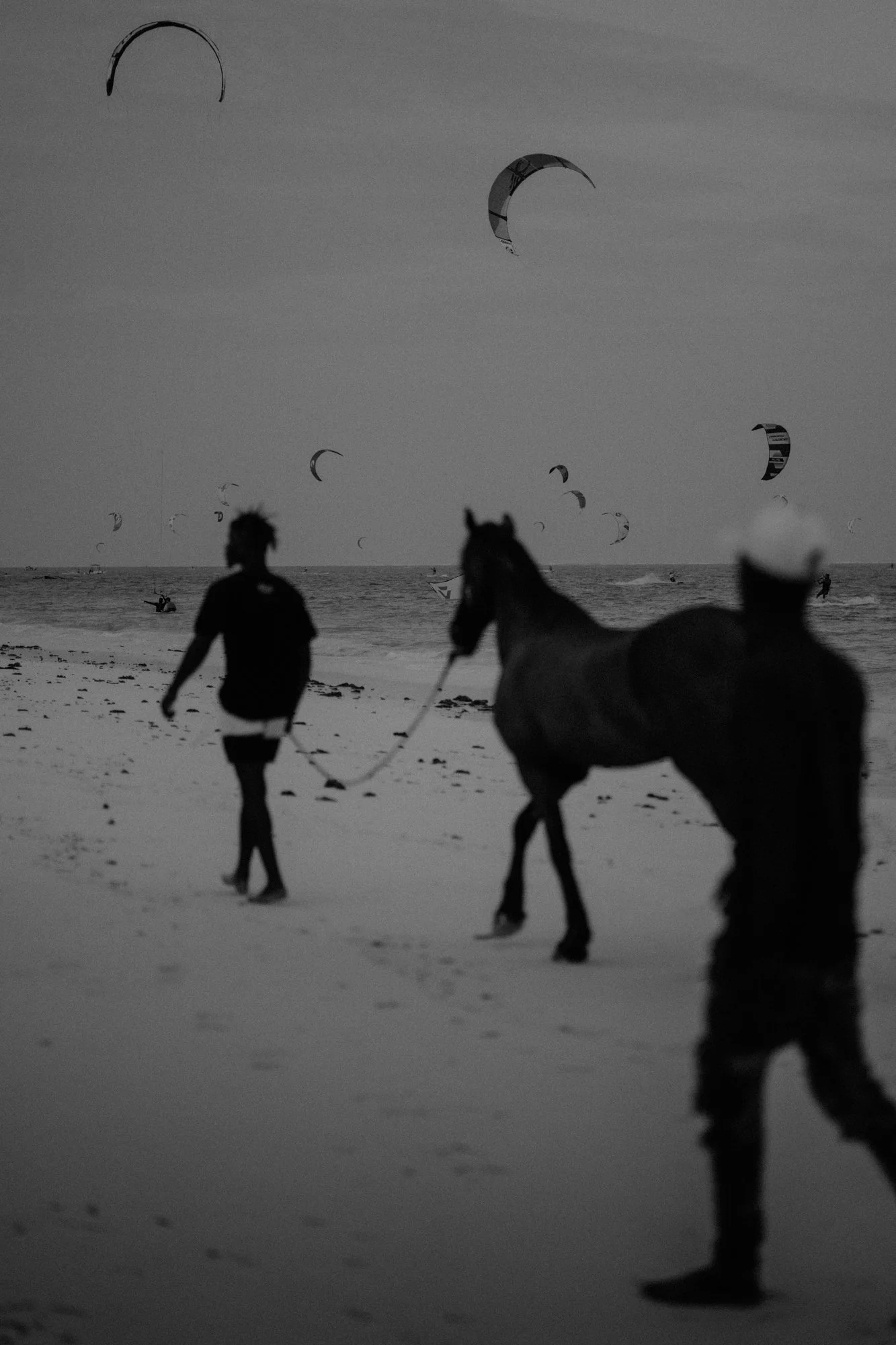 Ryan Watts Photography - Places - Zanzibar-26.jpg