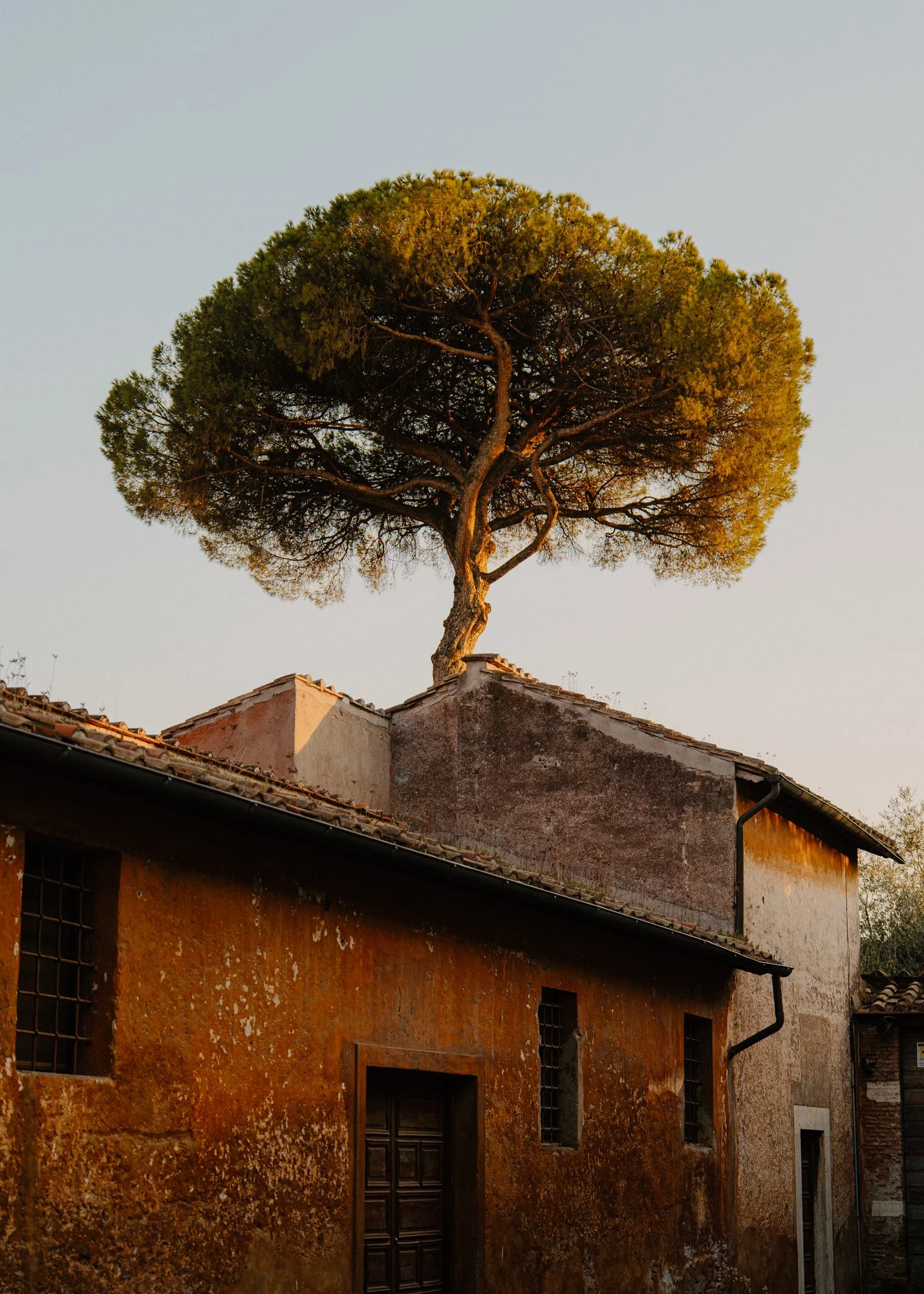 Ryan Watts Photography - Places - Rome-21.jpg