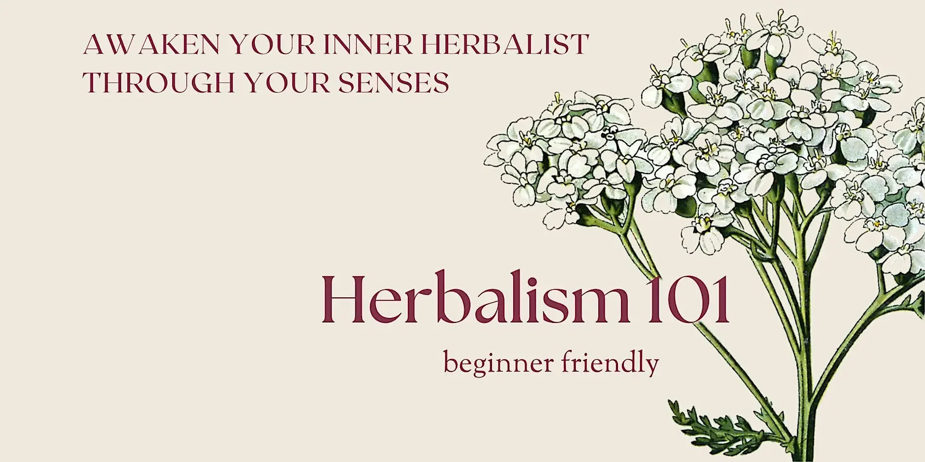Herbalism 101: Awaken your Inner Herbalist through your Senses