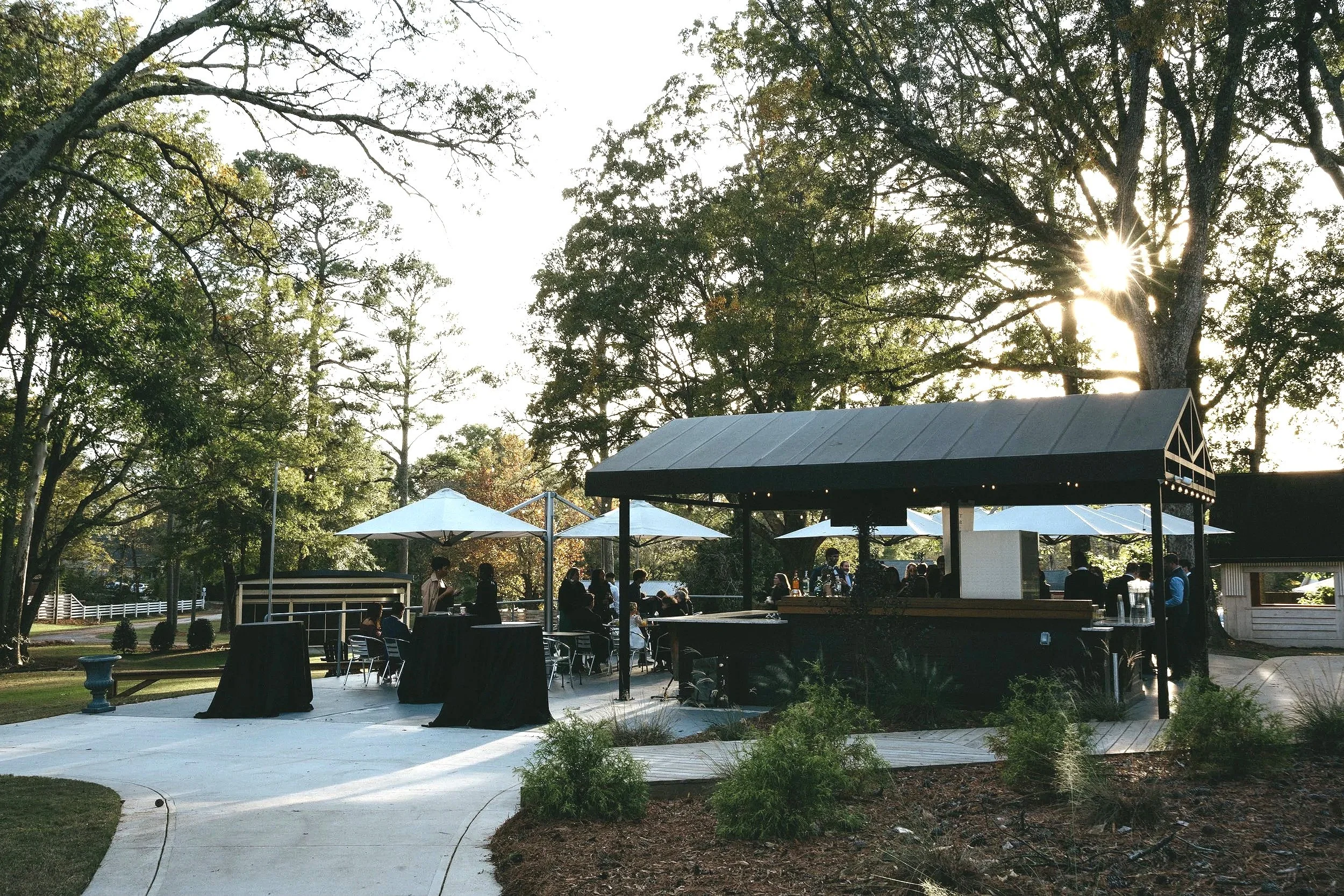 Outdoor social gathering at a venue with a bar, tables, and umbrellas surrounded by trees with sunlight filtering through.