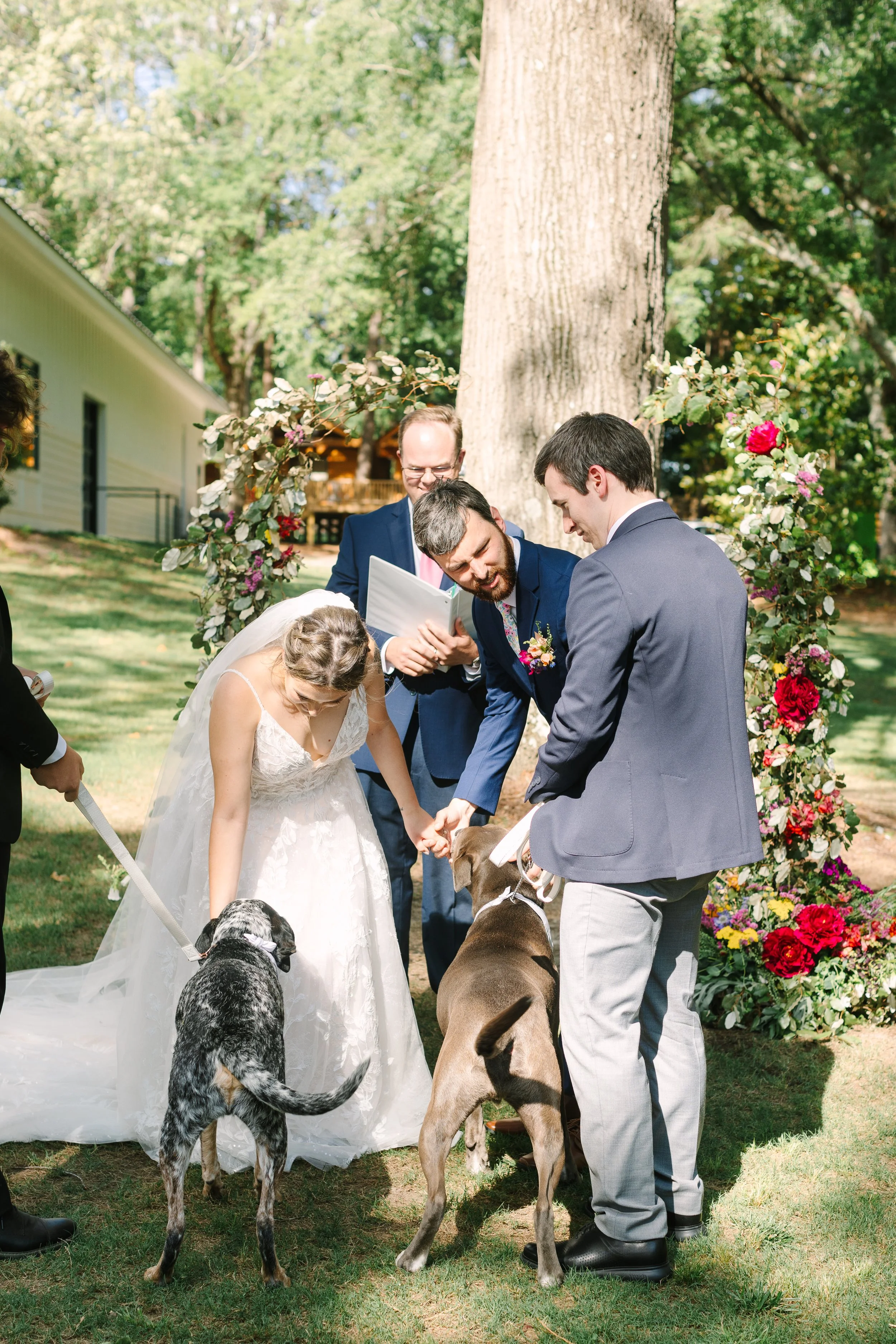 Wedding ceremony outdoors with a bride and groom exchanging rings, surrounded by their officiant, groomsmen, and floral arch, along with two dogs.