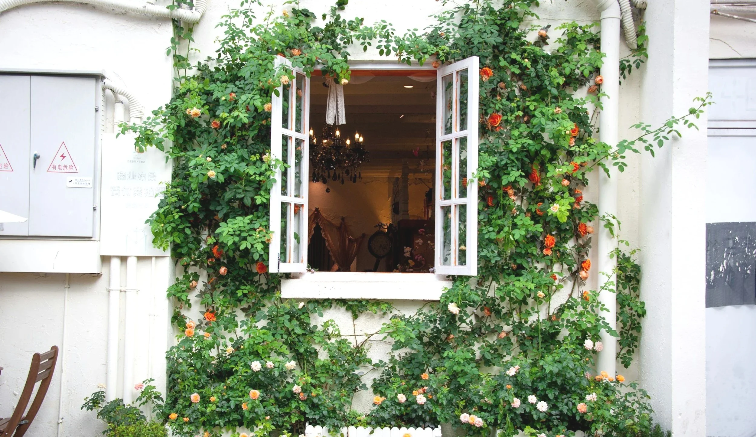 Geometric drawing of an outline square with sections divided by vertical, horizontal, and circle lines.