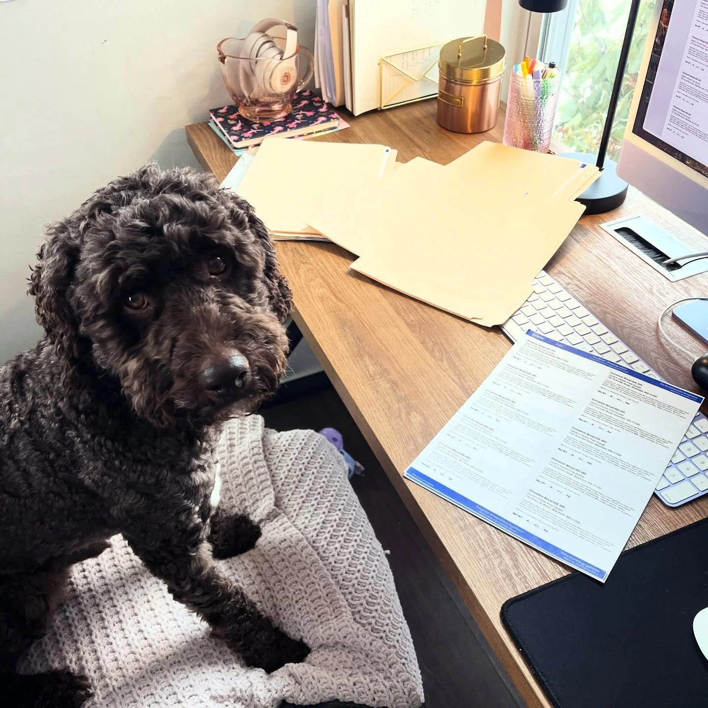 Hard at work making ingredient labels! See you tomorrow from 10-2pm @easthamptonmarket @eastworks_ma 💜🐶