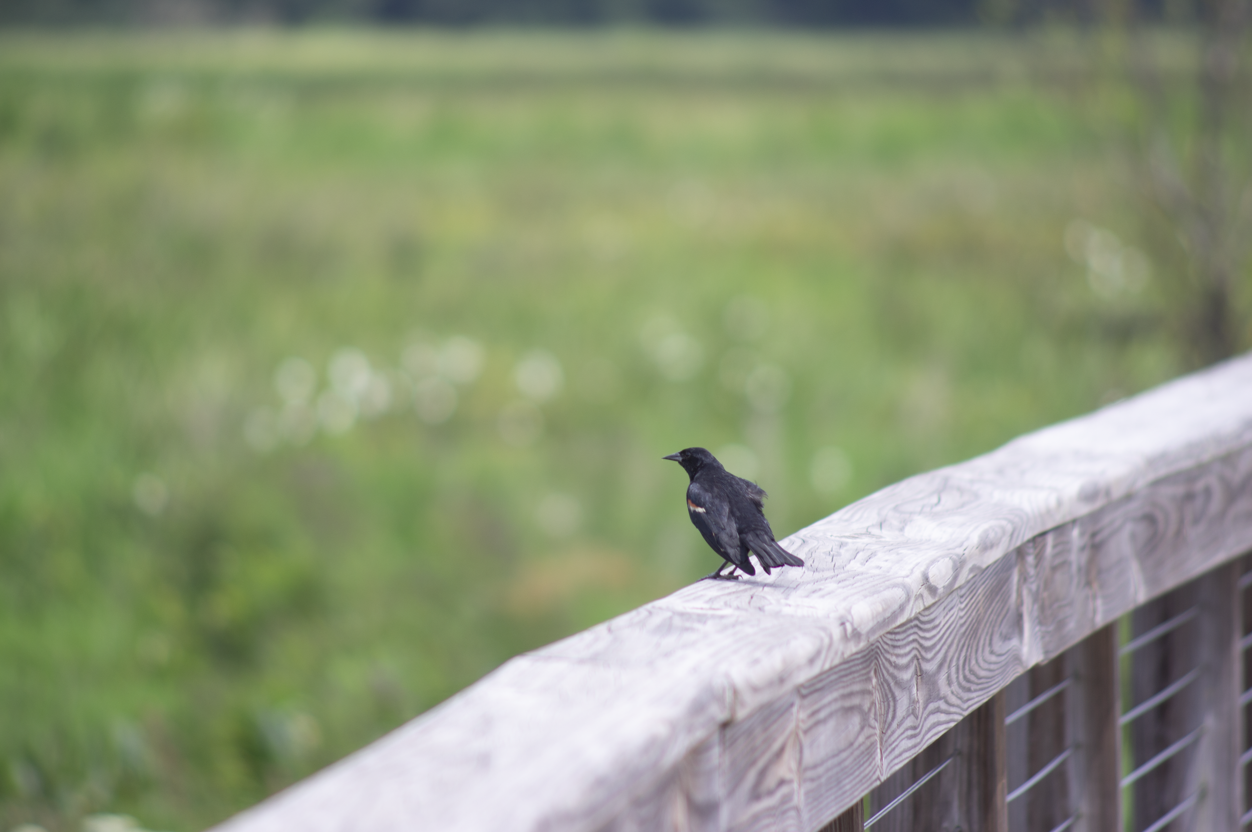 Neabsco Regional Park