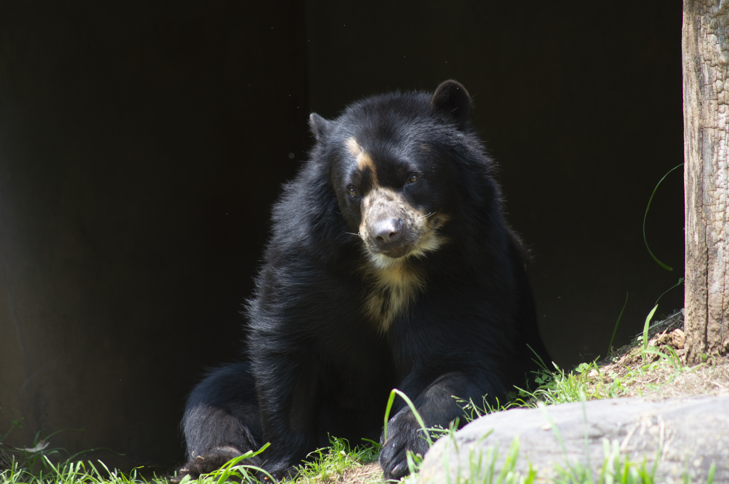Smithsonian National Zoo