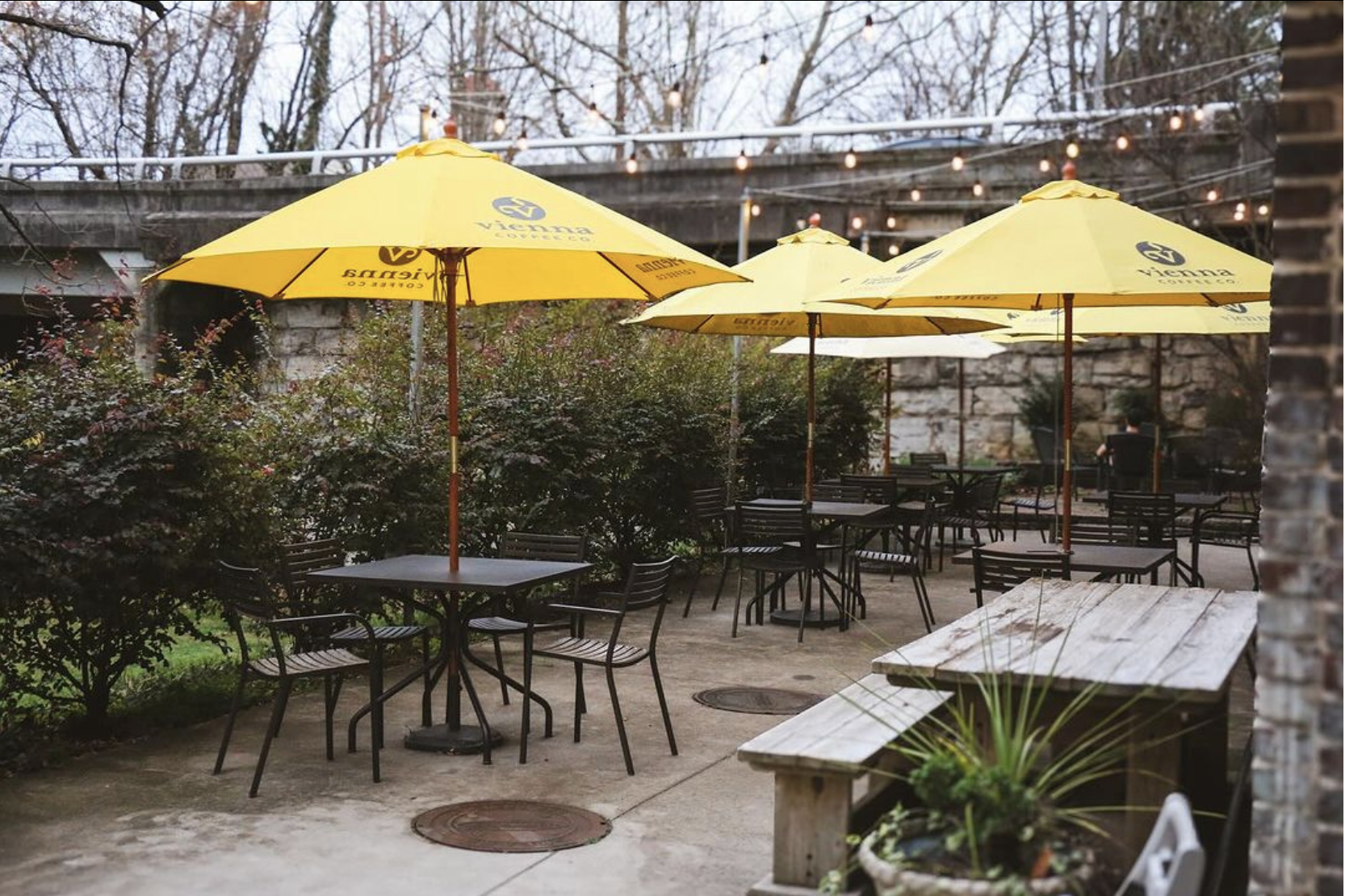 Screenshot 2024-01-02 at 1.24.45 PM.png