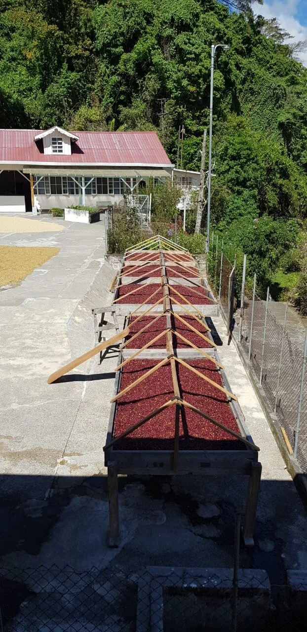 WhatsApp Image 2020-02-05 at 5.15.29 PM.jpeg