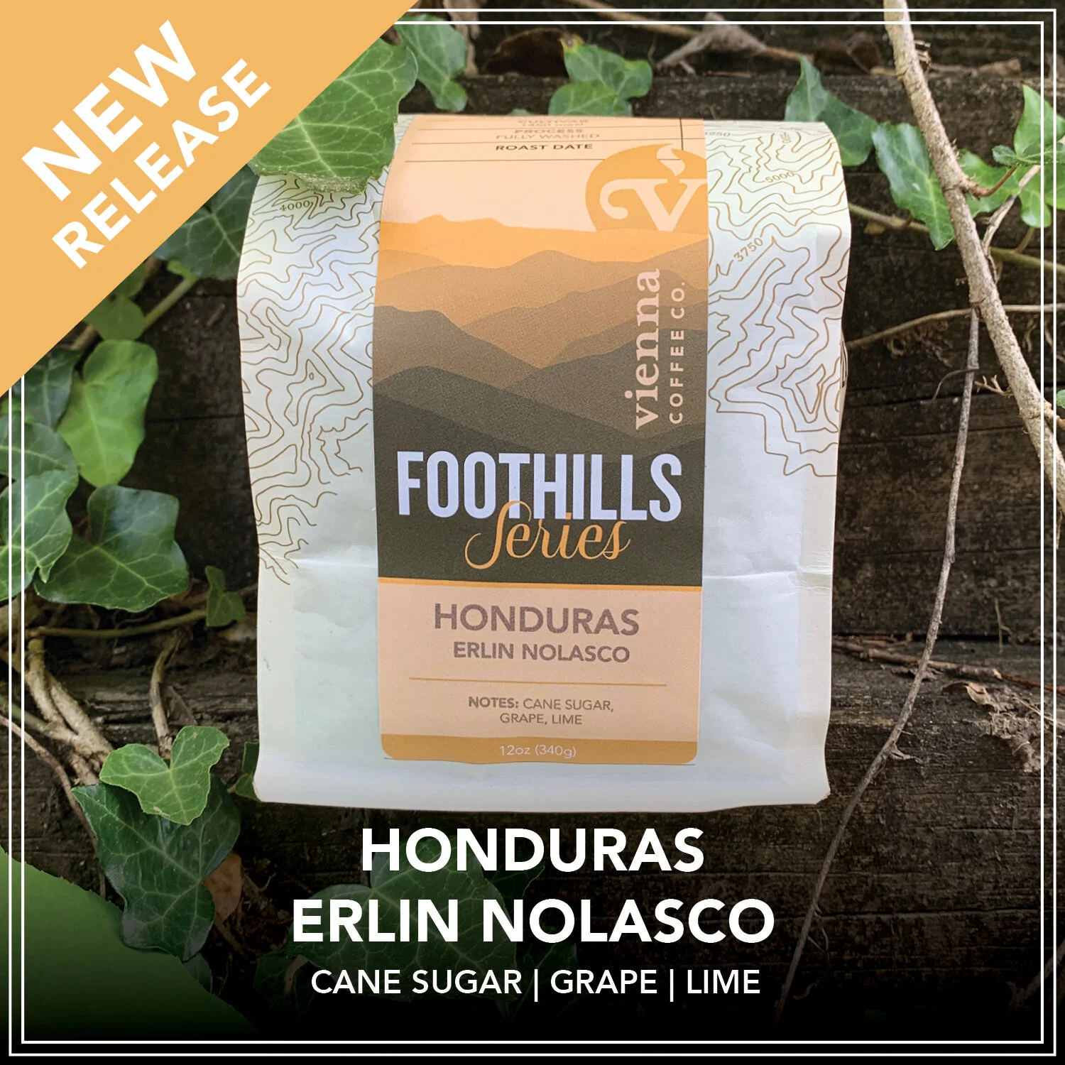 honduras New release.jpg
