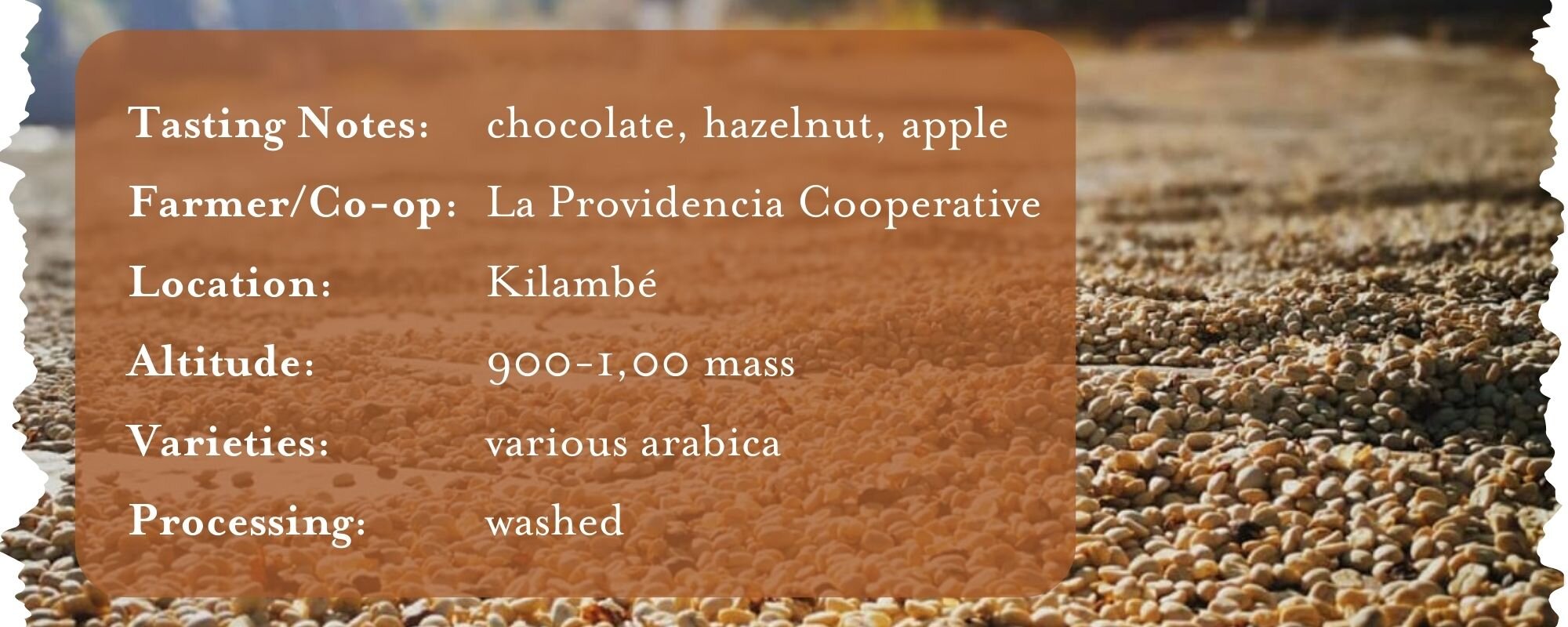 21 Oct Nica tasting notes (25 x 10 cm).jpg