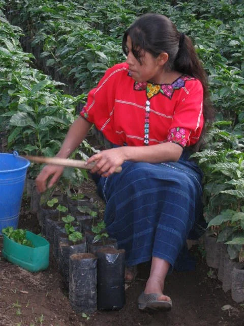 Guatemala Origin Trip 2010 272.jpg