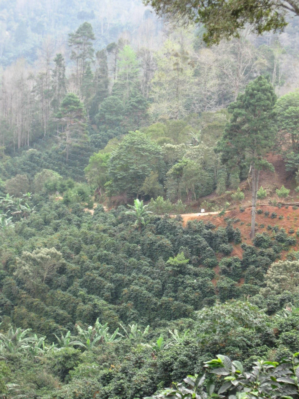 Guatemala Origin Trip 2010 588.jpg