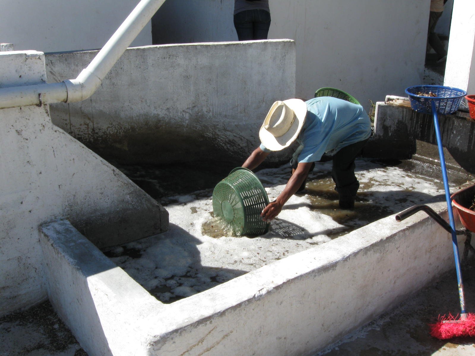 a Hand washing at co-op Guatemala Origin Trip 2010 362.jpg