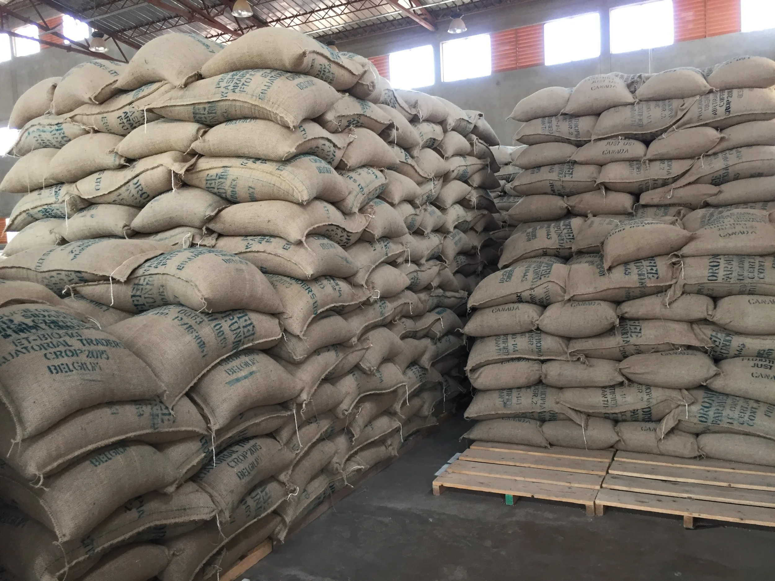 Photo Dec 12, 3 49 56 AM.jpg