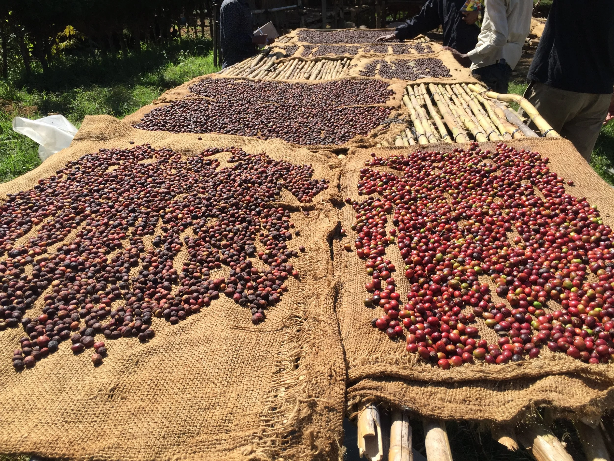 2015-12-15 11.00.11.jpg