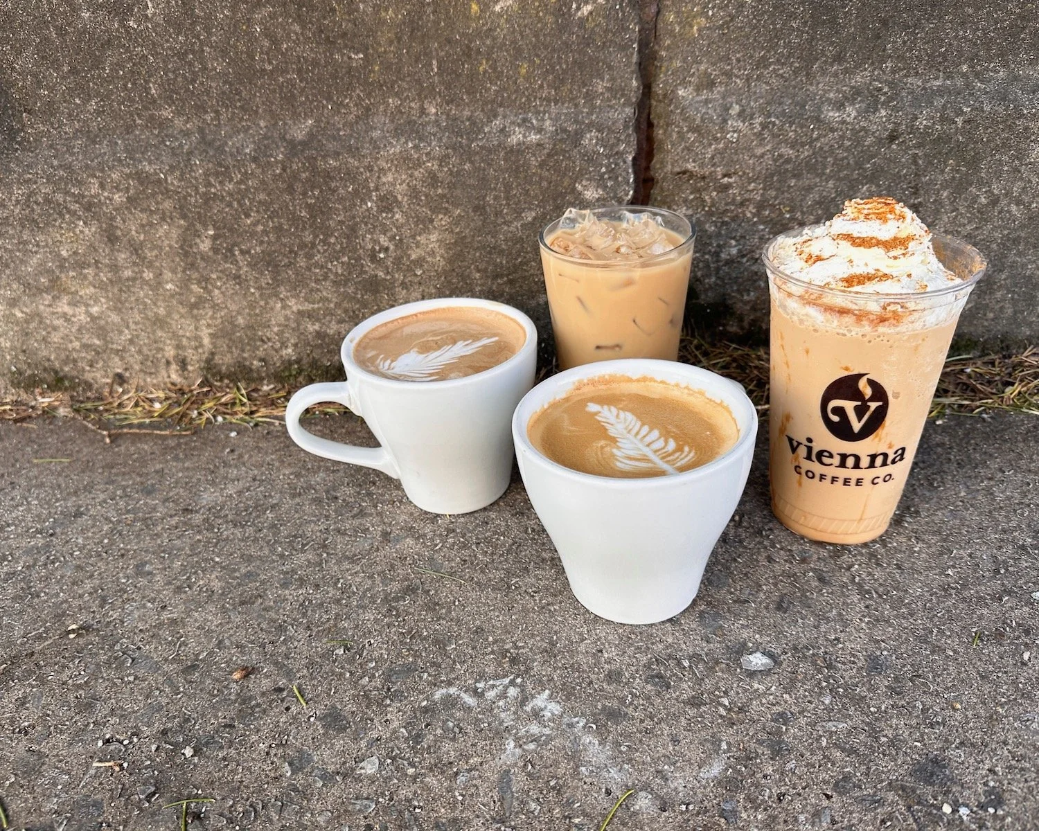 Vienna Coffee Spring Drink Specials