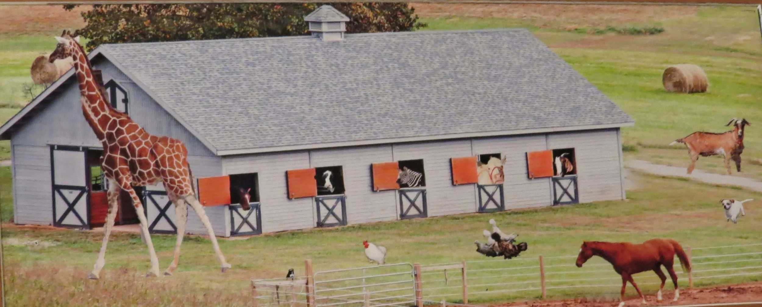 East Tennessee Stable   Linda A. Waterhouse, Photographer.jpg