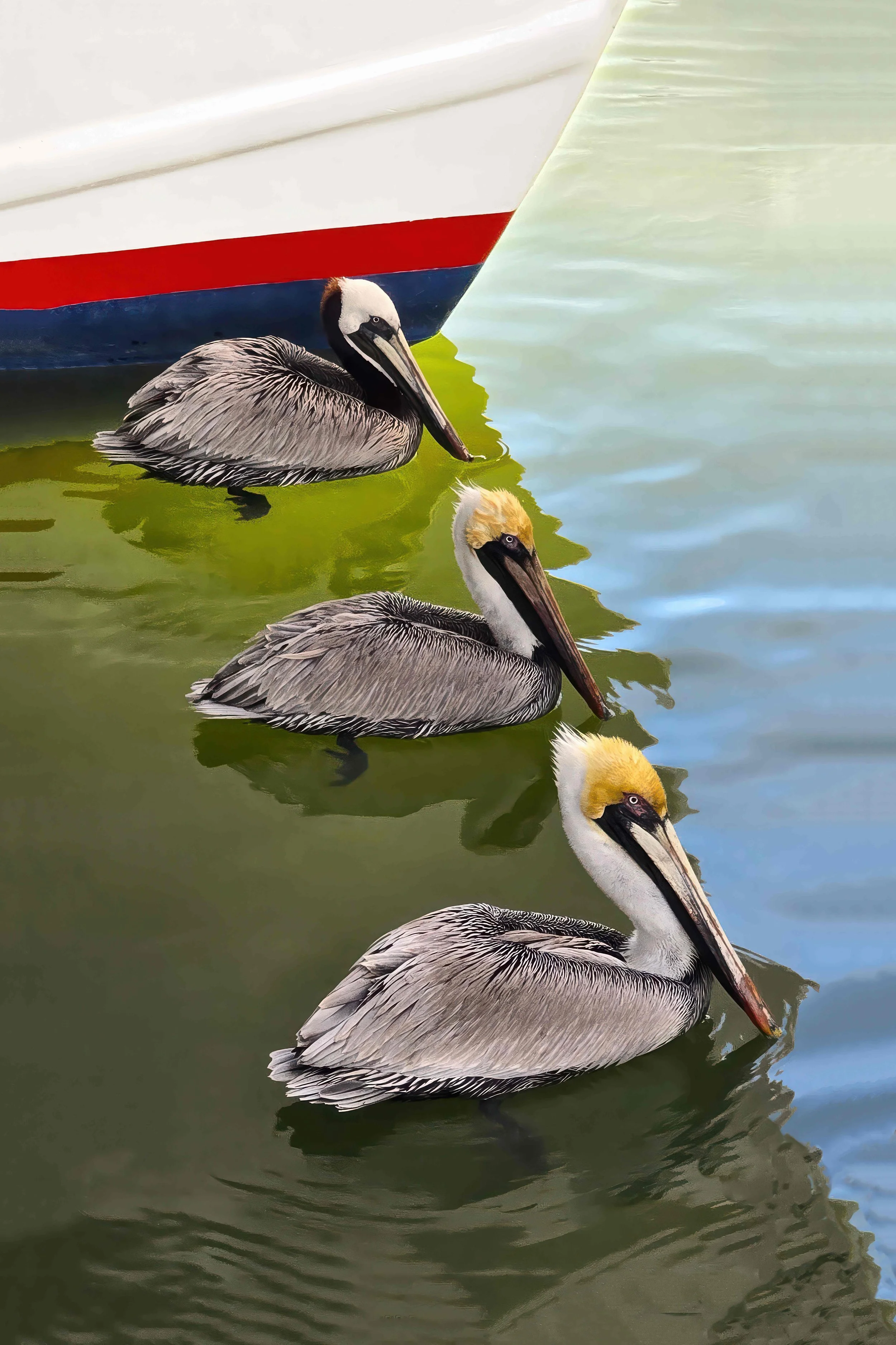 The 3 Musketeers   David Liles, Photographer.jpg