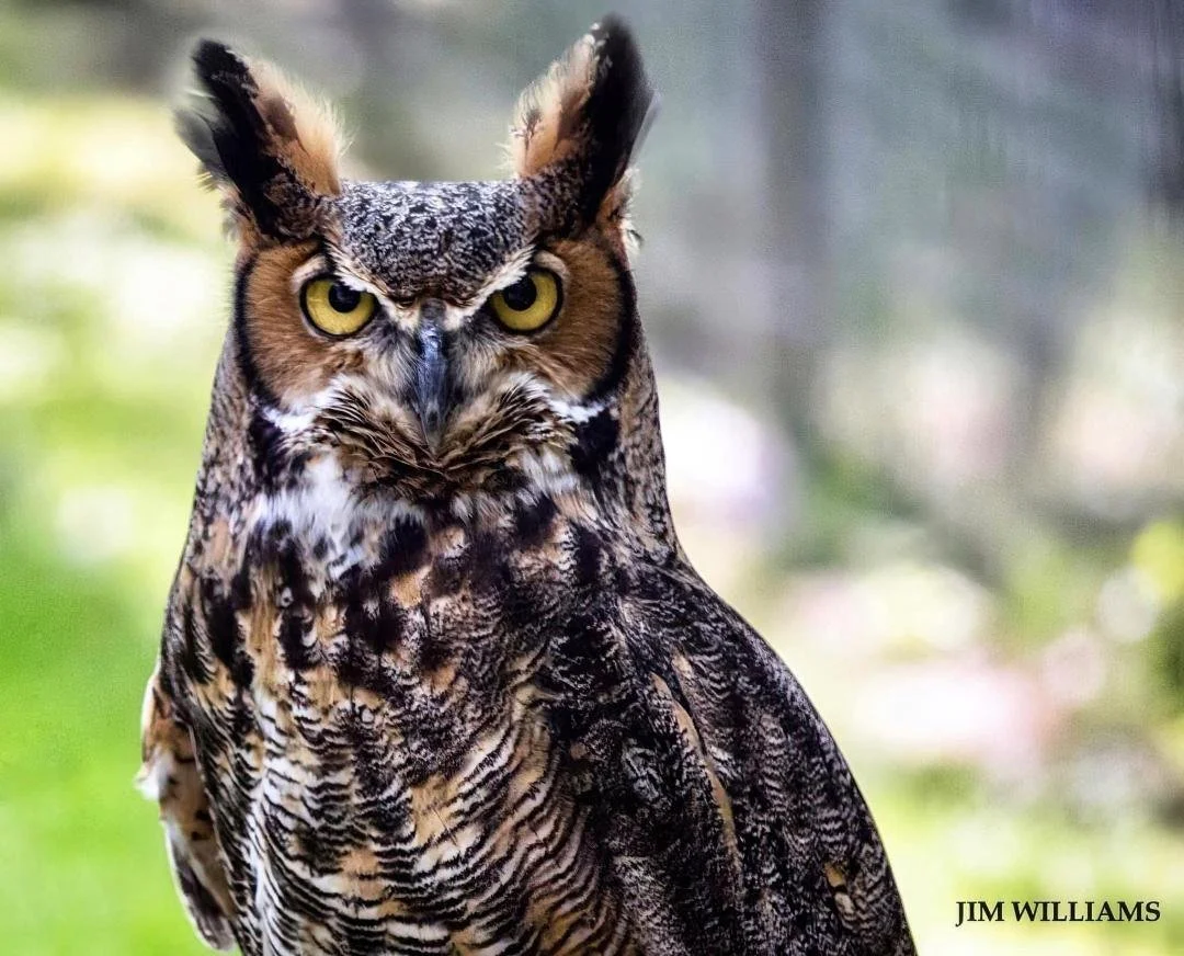 Jim Williams    Photography.jpeg